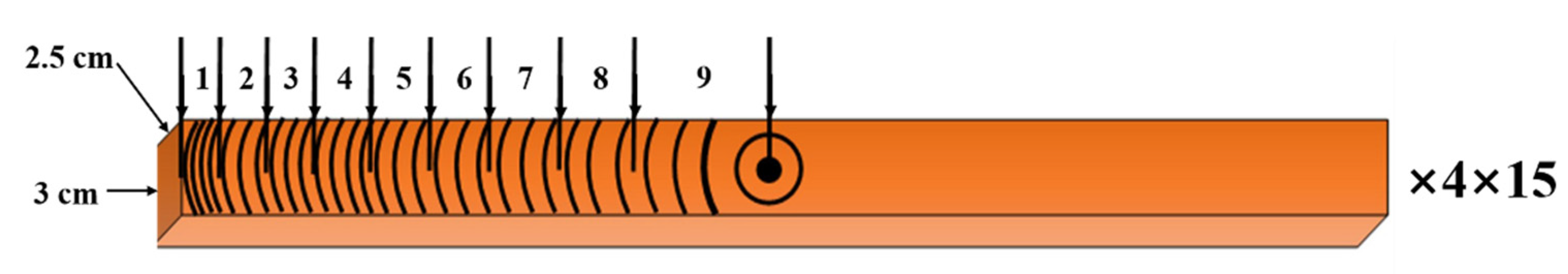 Forests 11 01326 g002 Forests 11 01326 g002