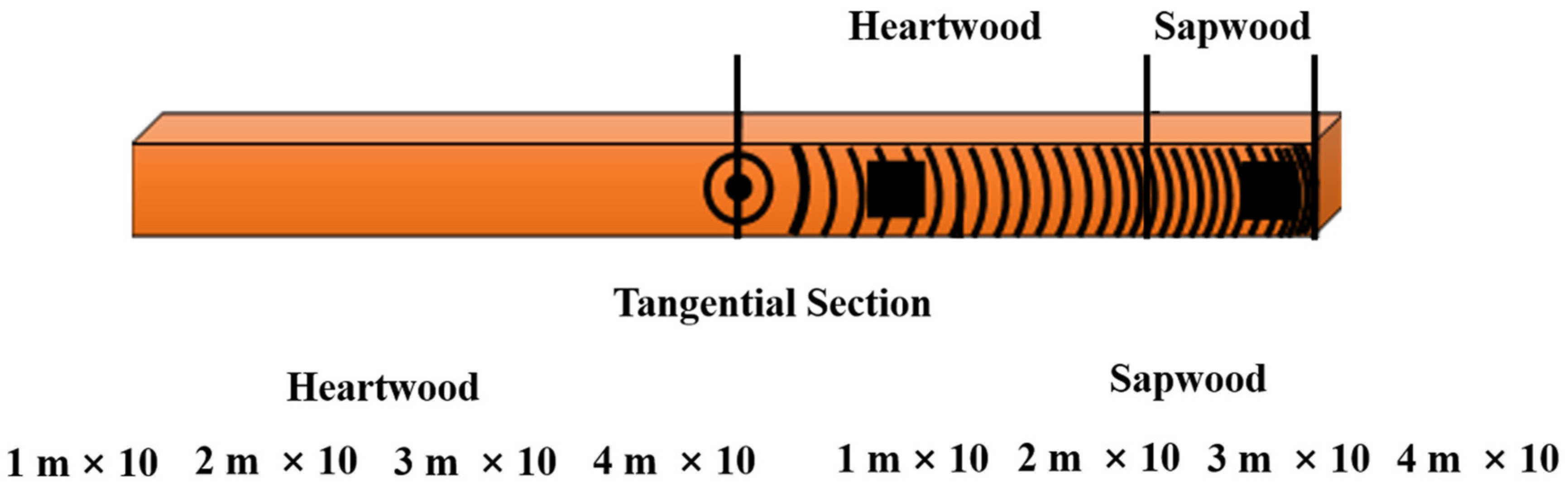 Forests 11 01326 g005 Forests 11 01326 g005