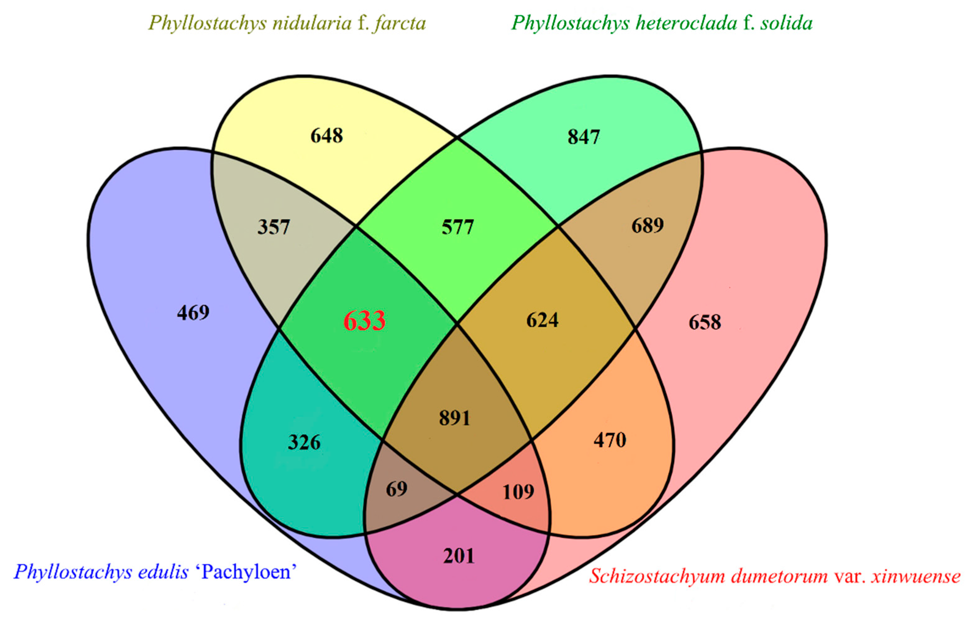 Forests 11 01331 g002 Forests 11 01331 g002