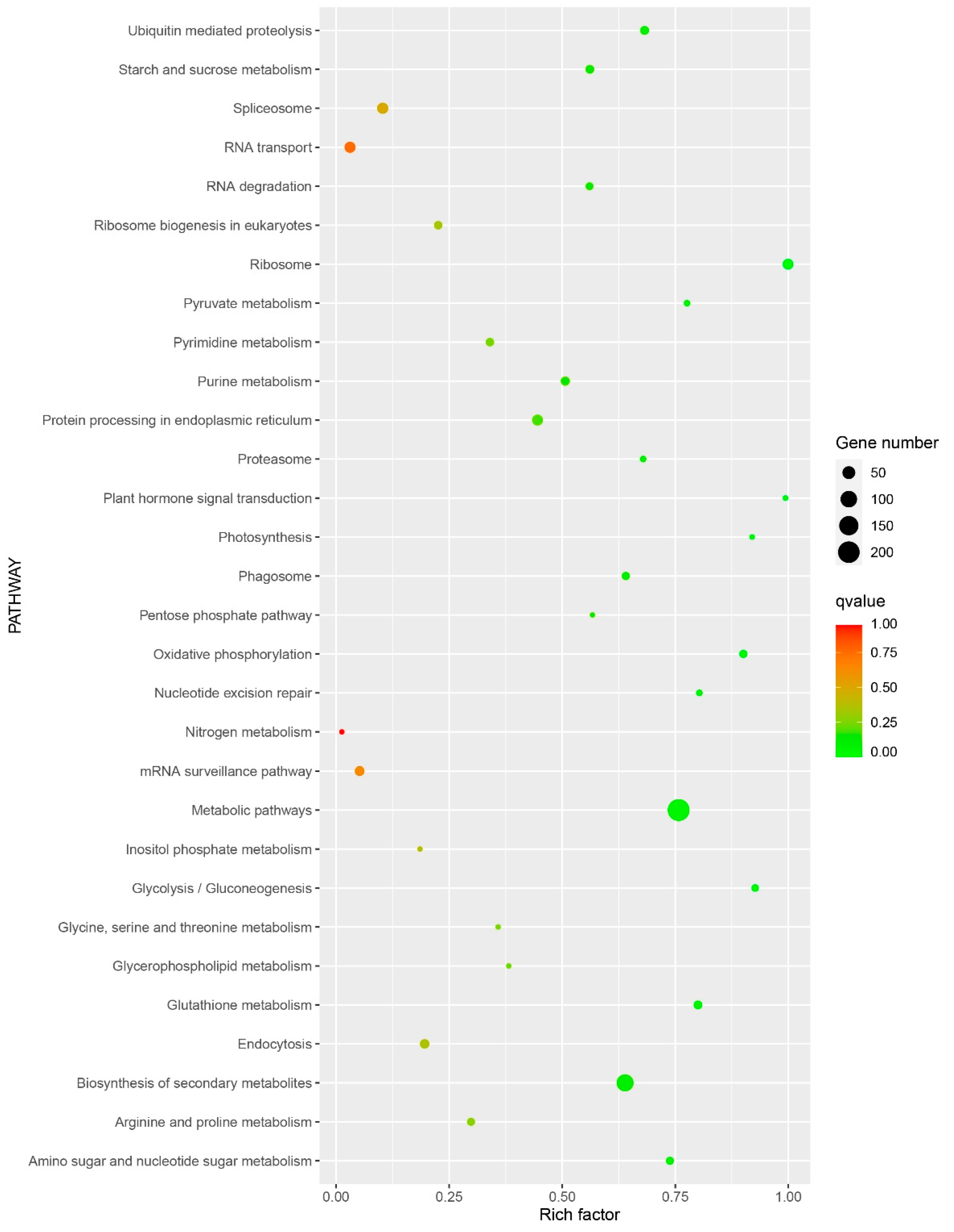 Forests 11 01331 g004 Forests 11 01331 g004