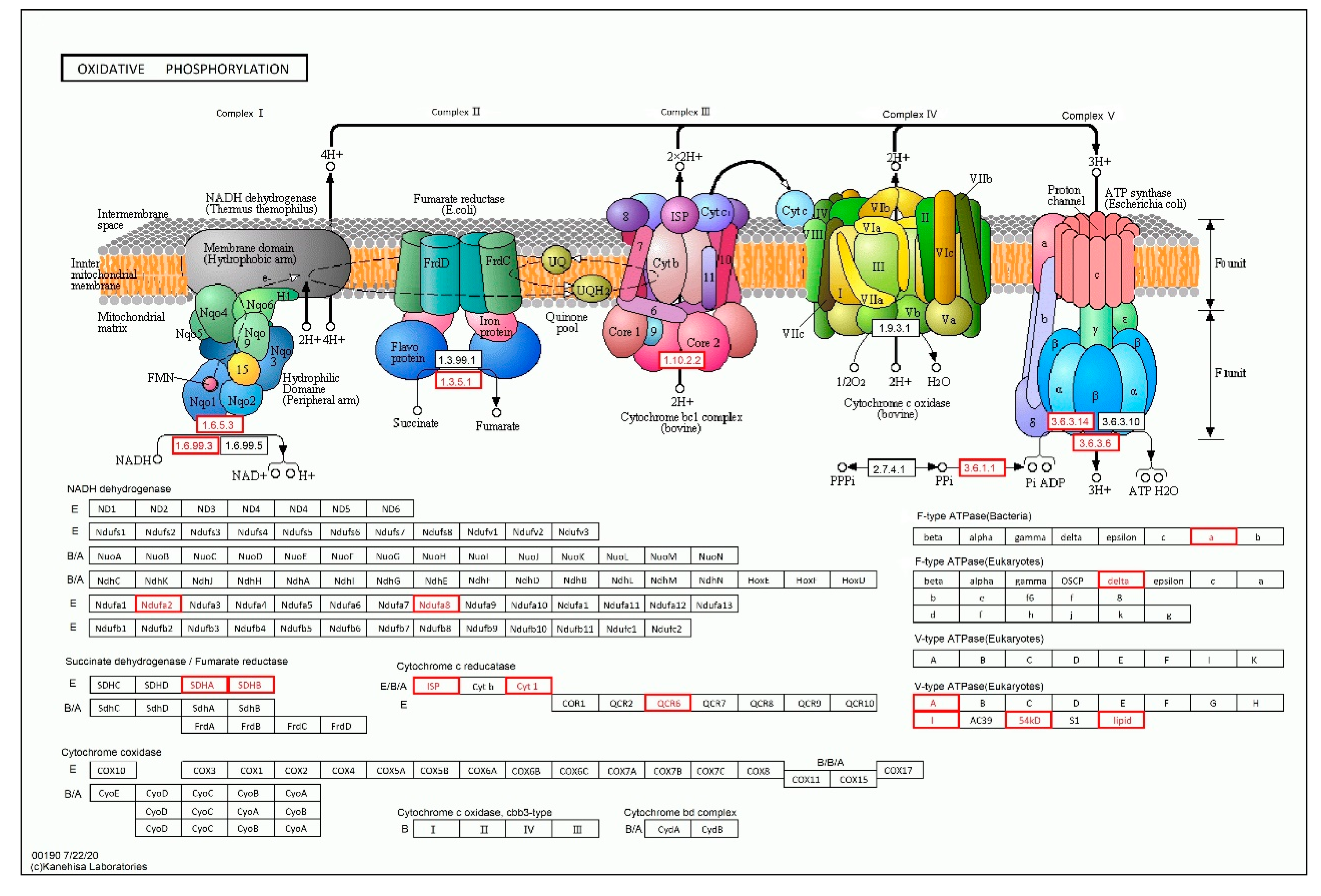 Forests 11 01331 g006 Forests 11 01331 g006