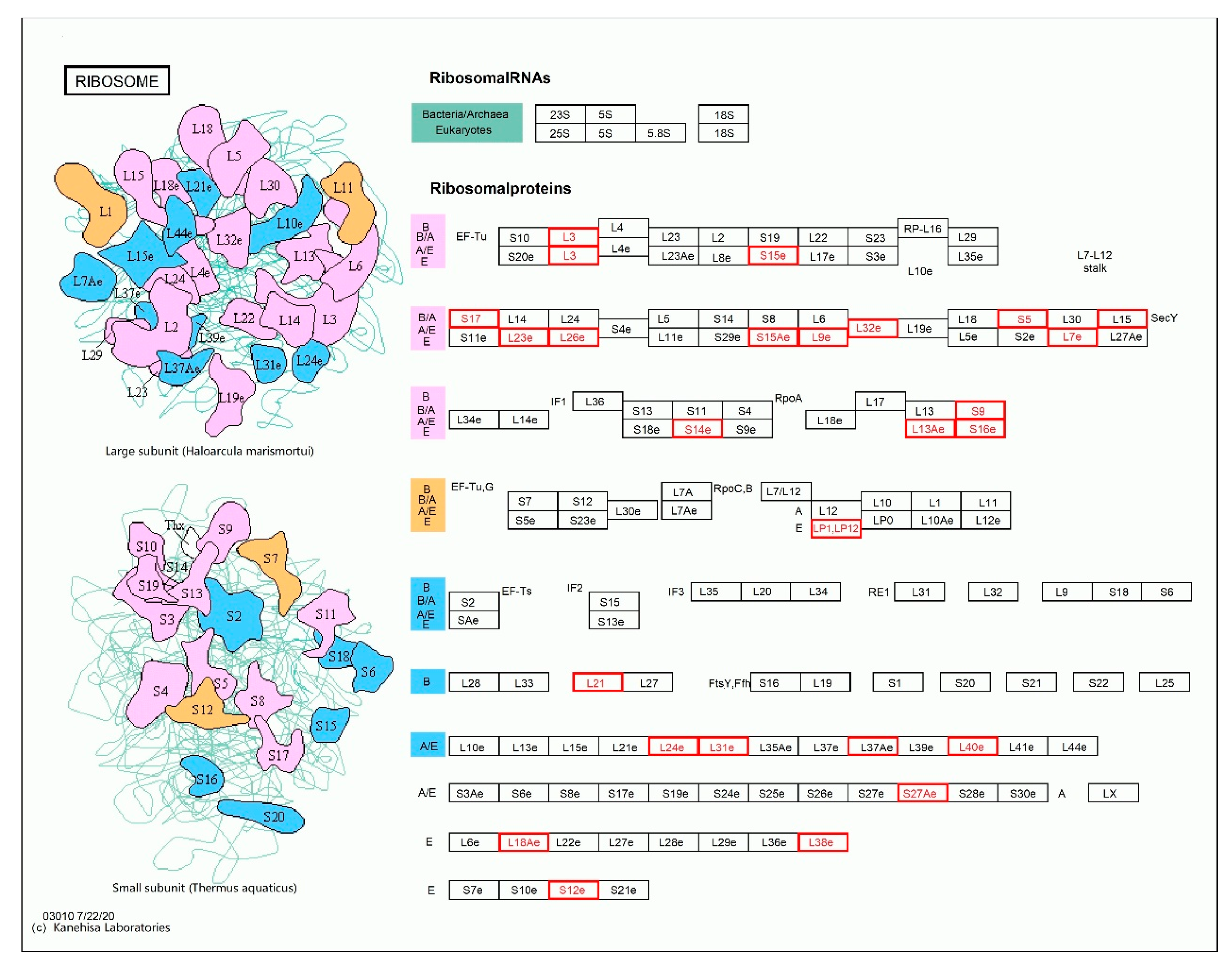 Forests 11 01331 g007 Forests 11 01331 g007