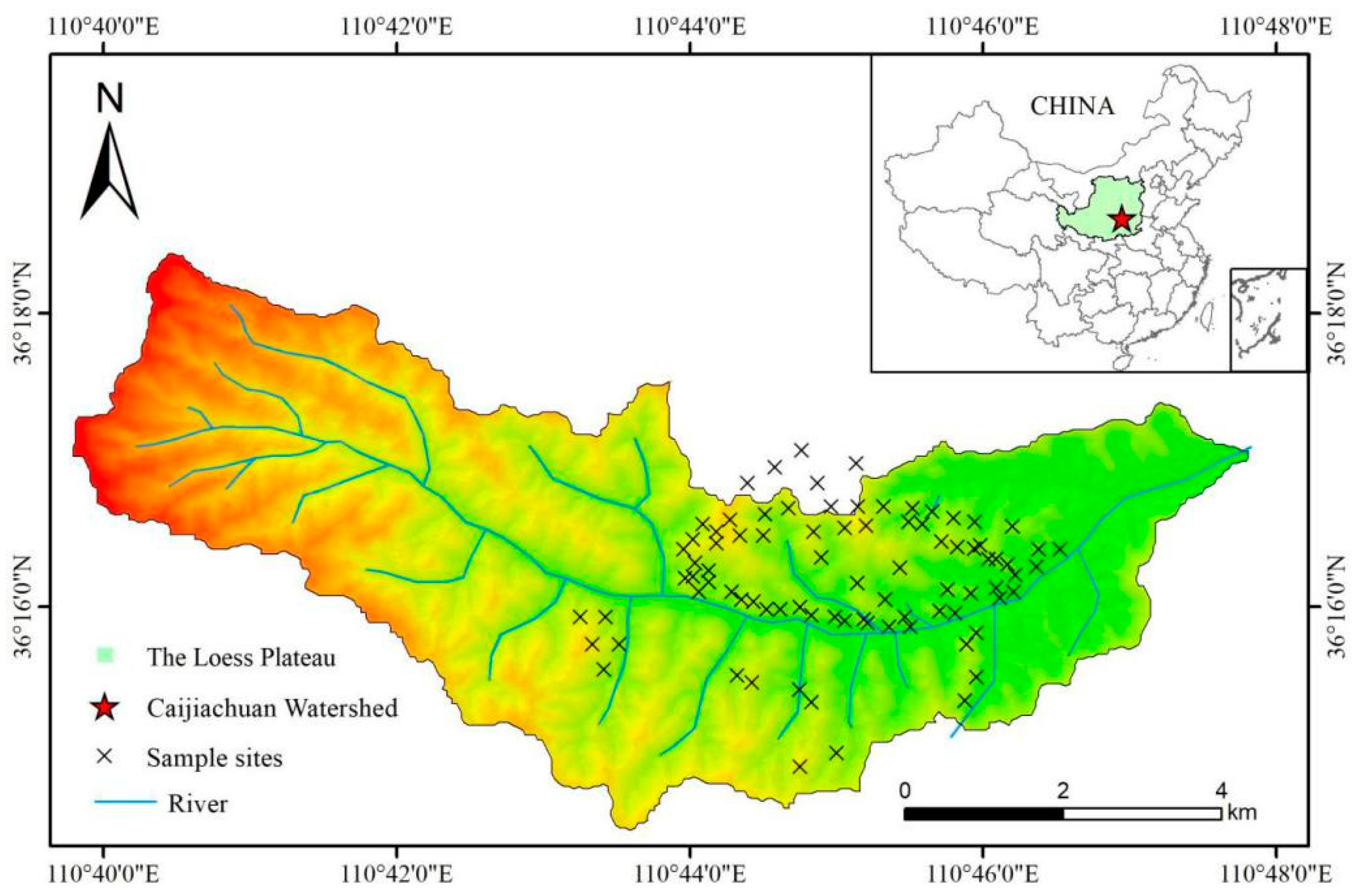 Forests 11 01332 g001 Forests 11 01332 g001