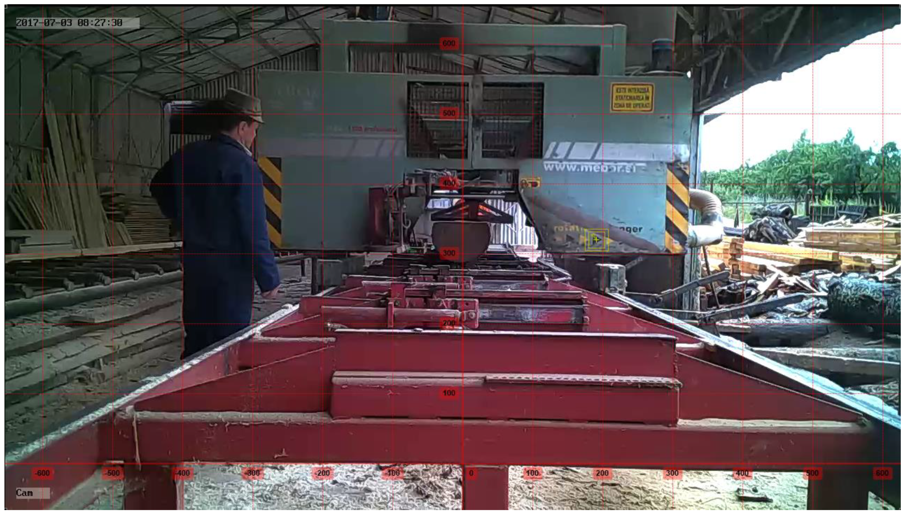 Forests 11 01333 g001