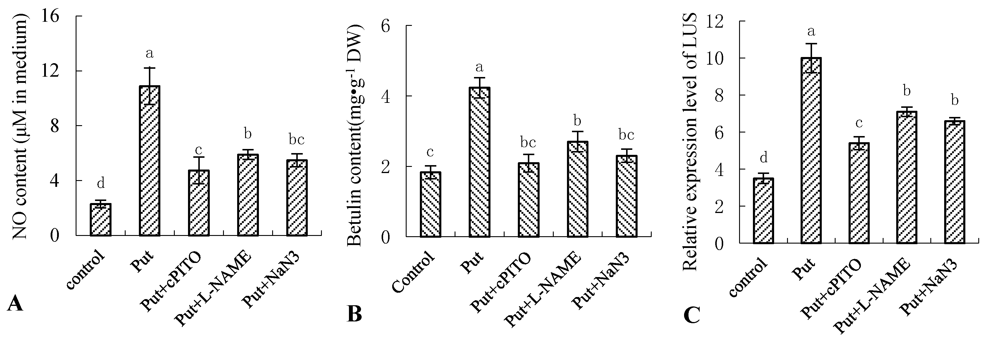 Forests 11 01336 g004 Forests 11 01336 g004