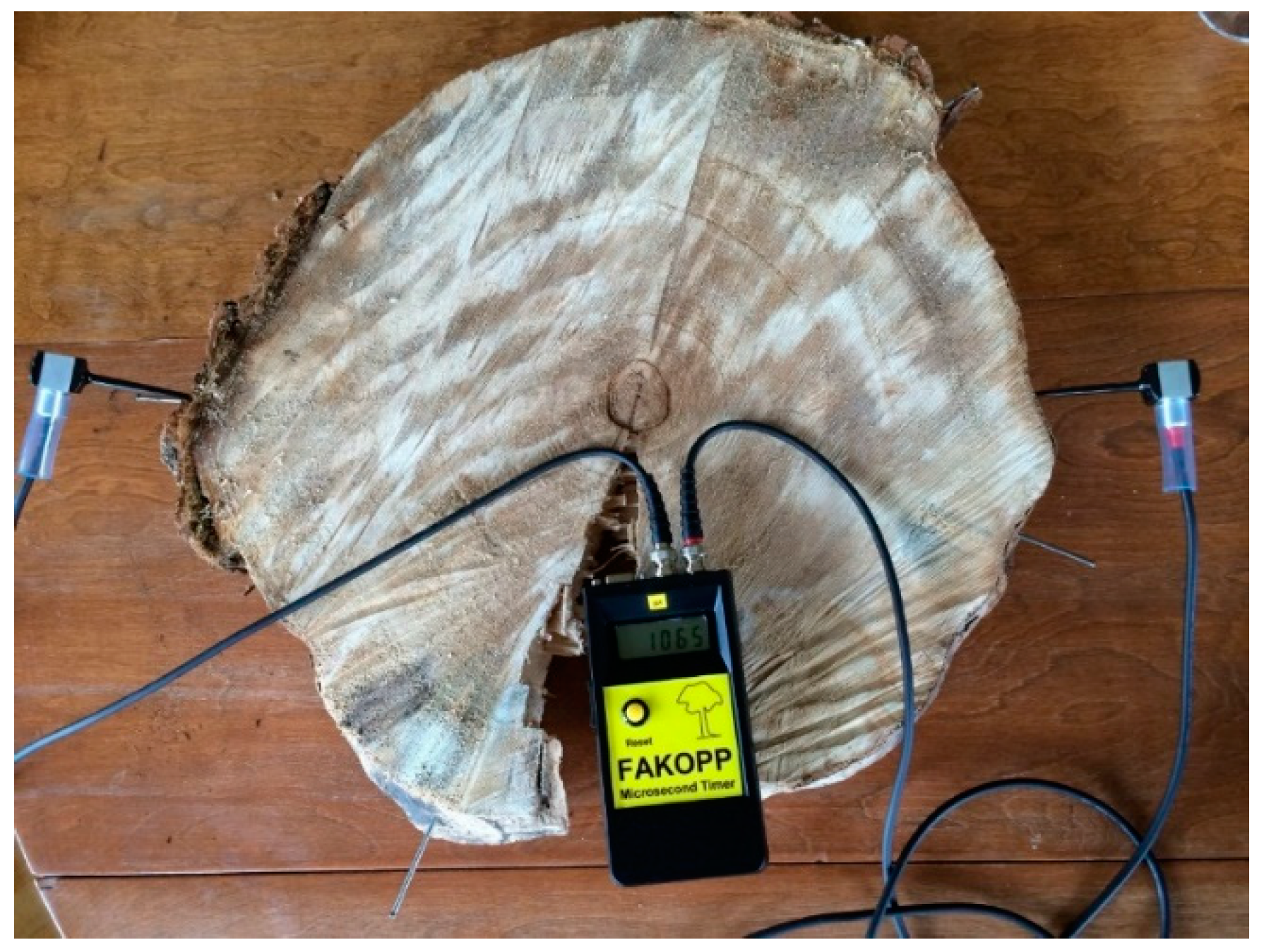 Forests 11 01341 g001