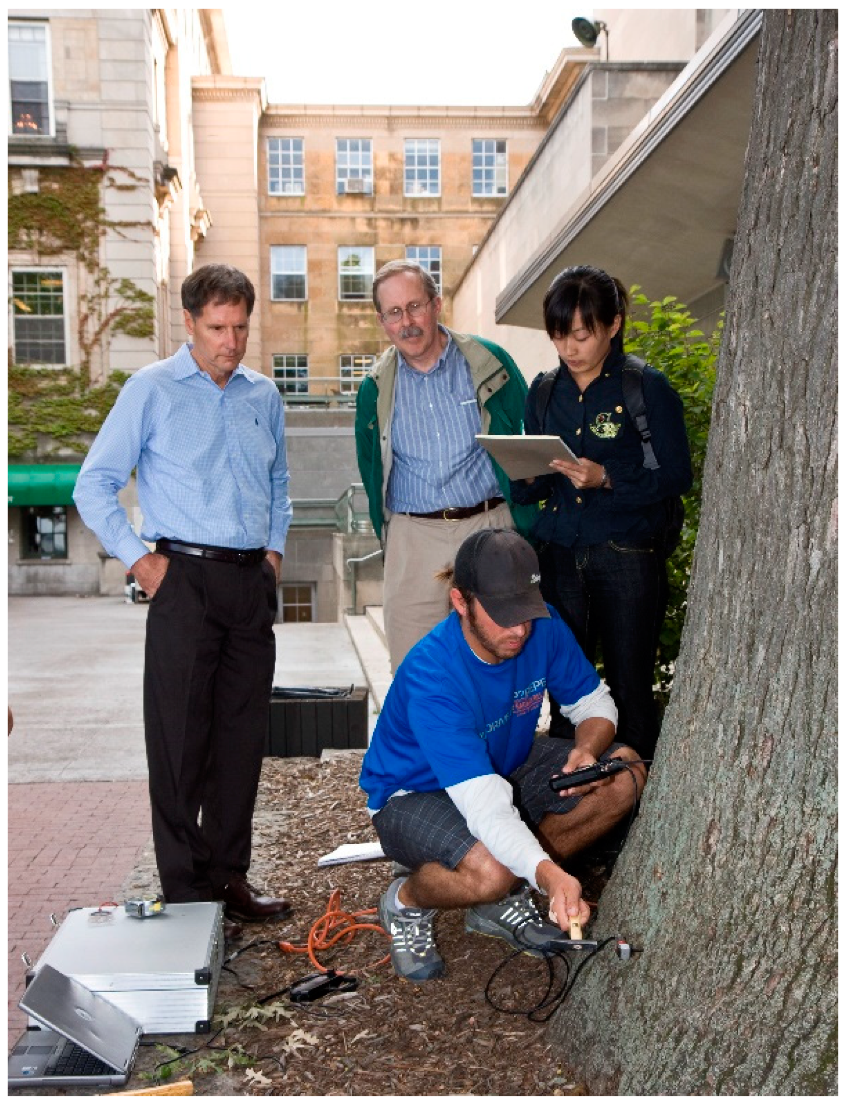 Forests 11 01341 g002