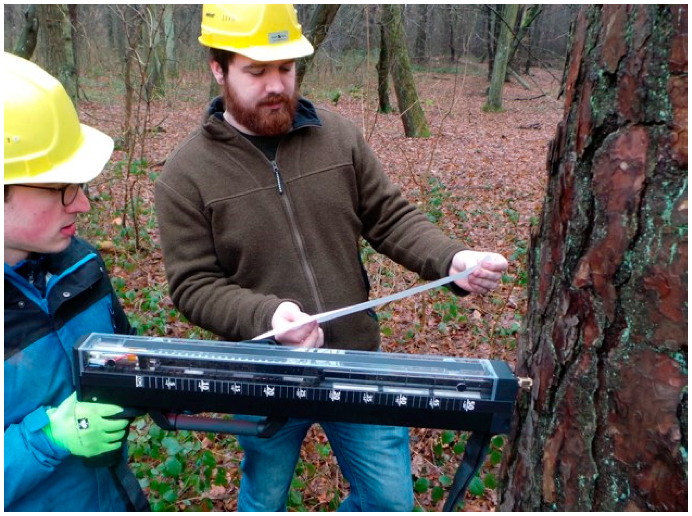 Forests 11 01341 g004