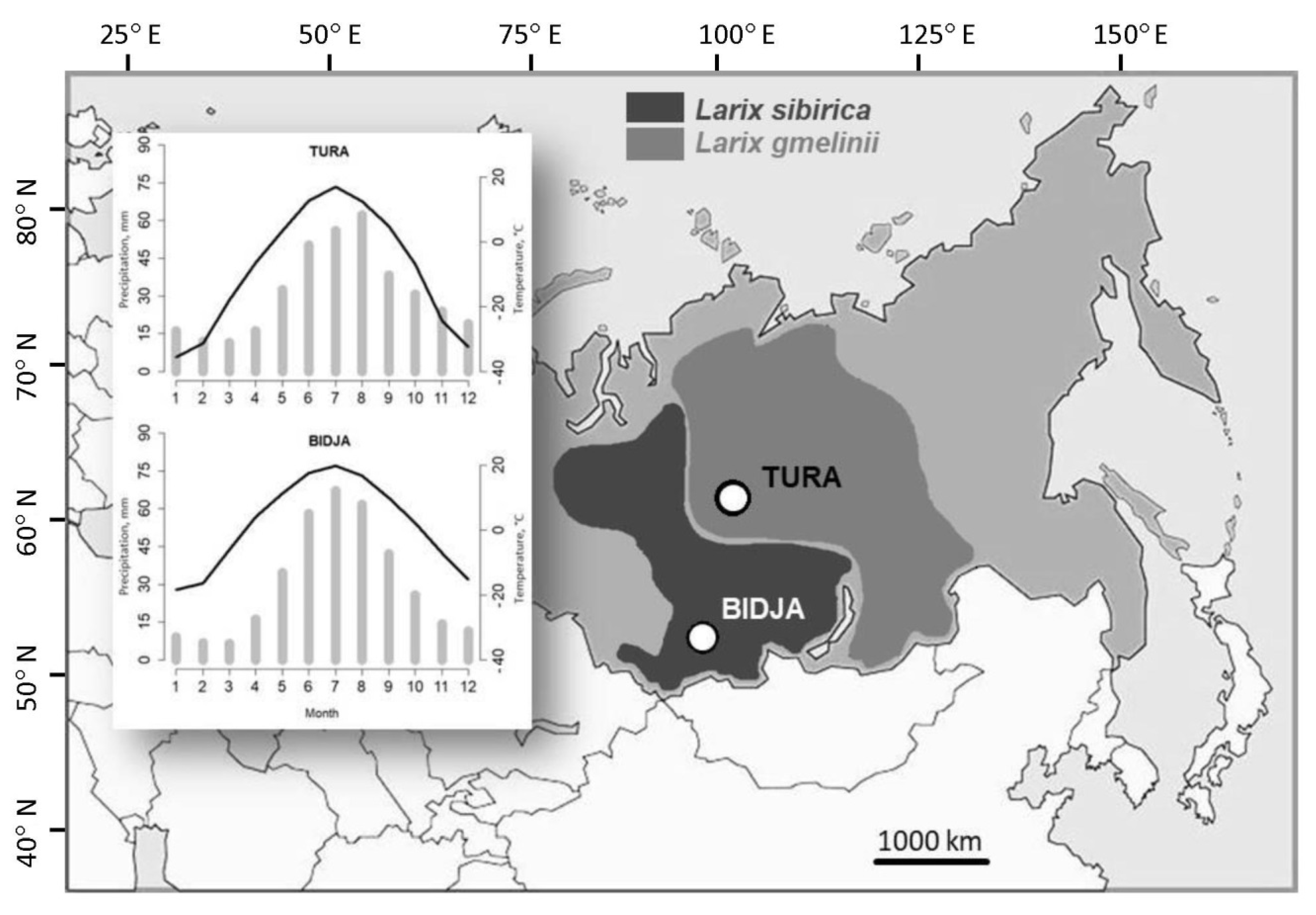 Forests 11 01343 g001