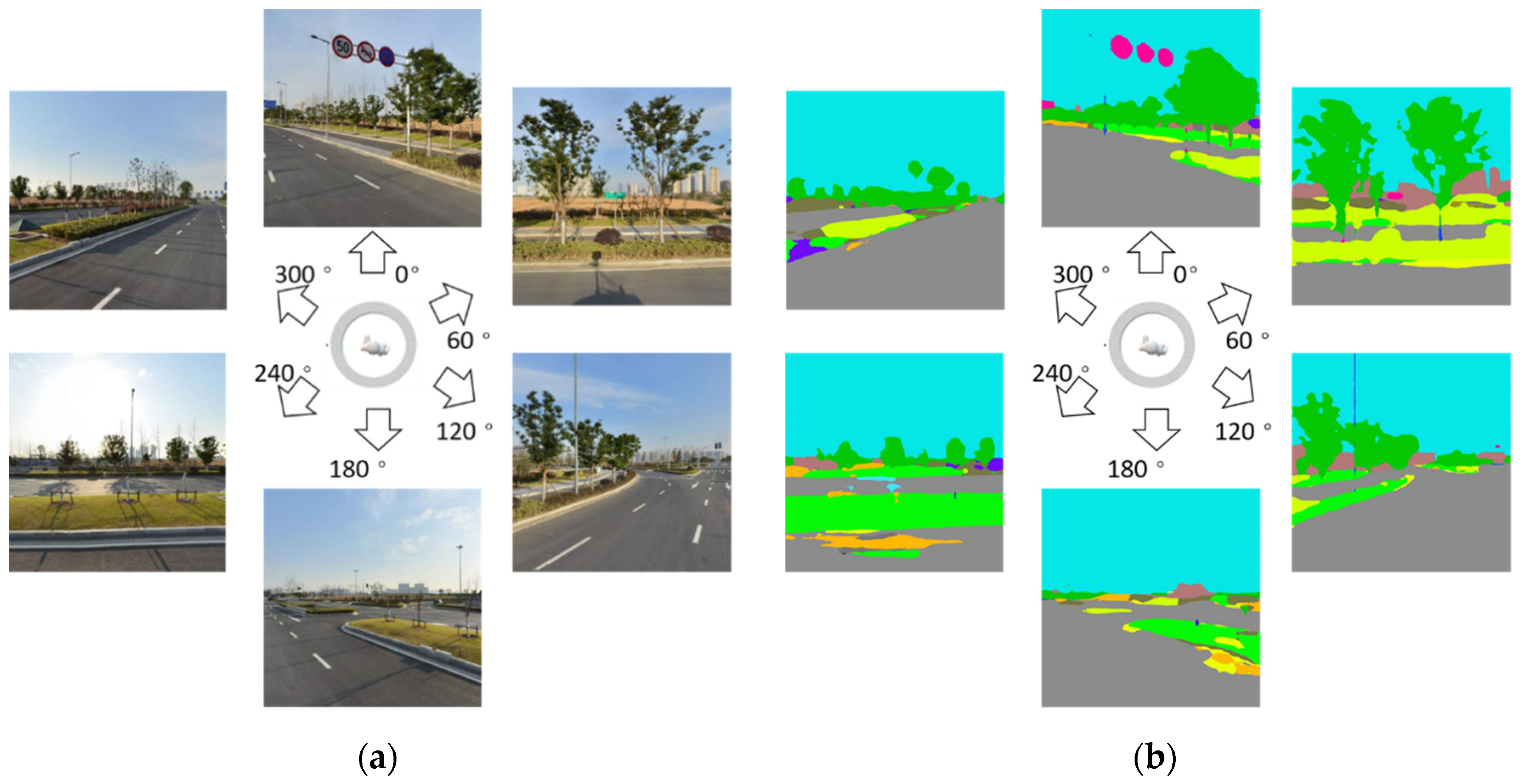Forests 11 01347 g003