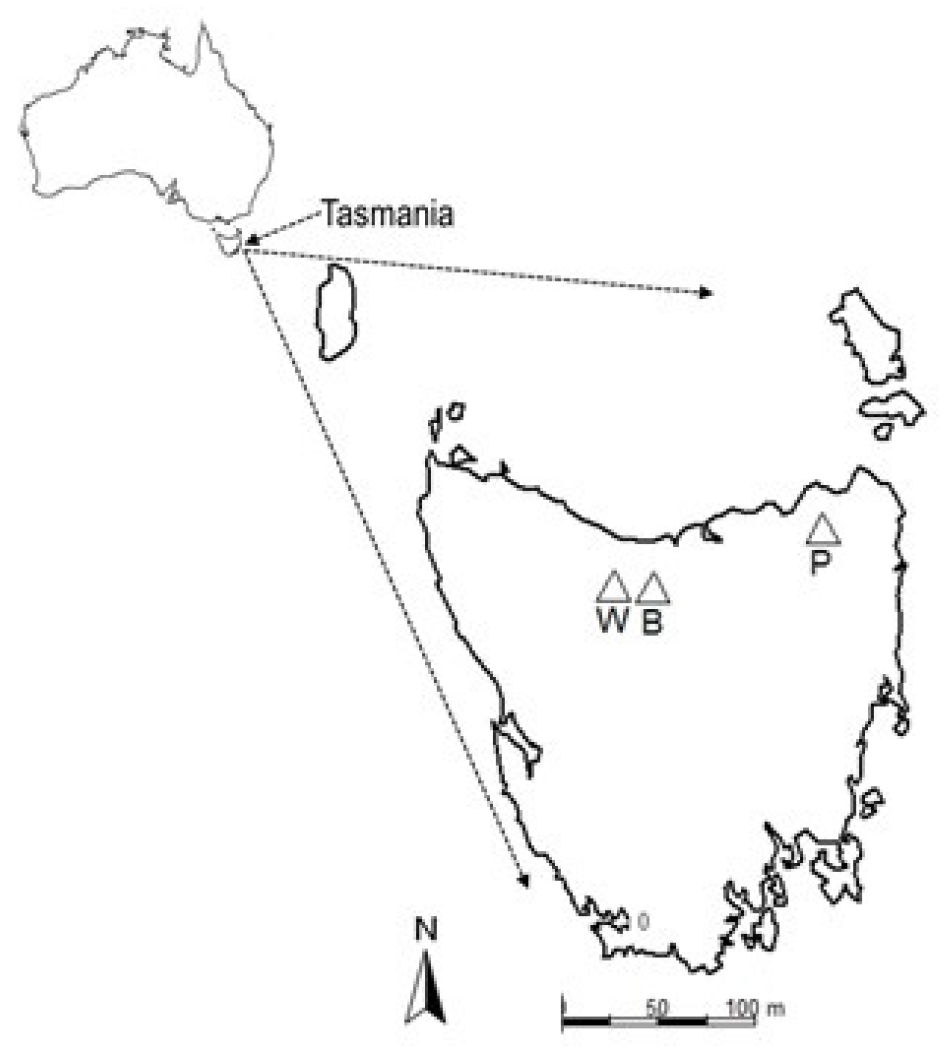 Forests 11 01356 g001 Forests 11 01356 g001