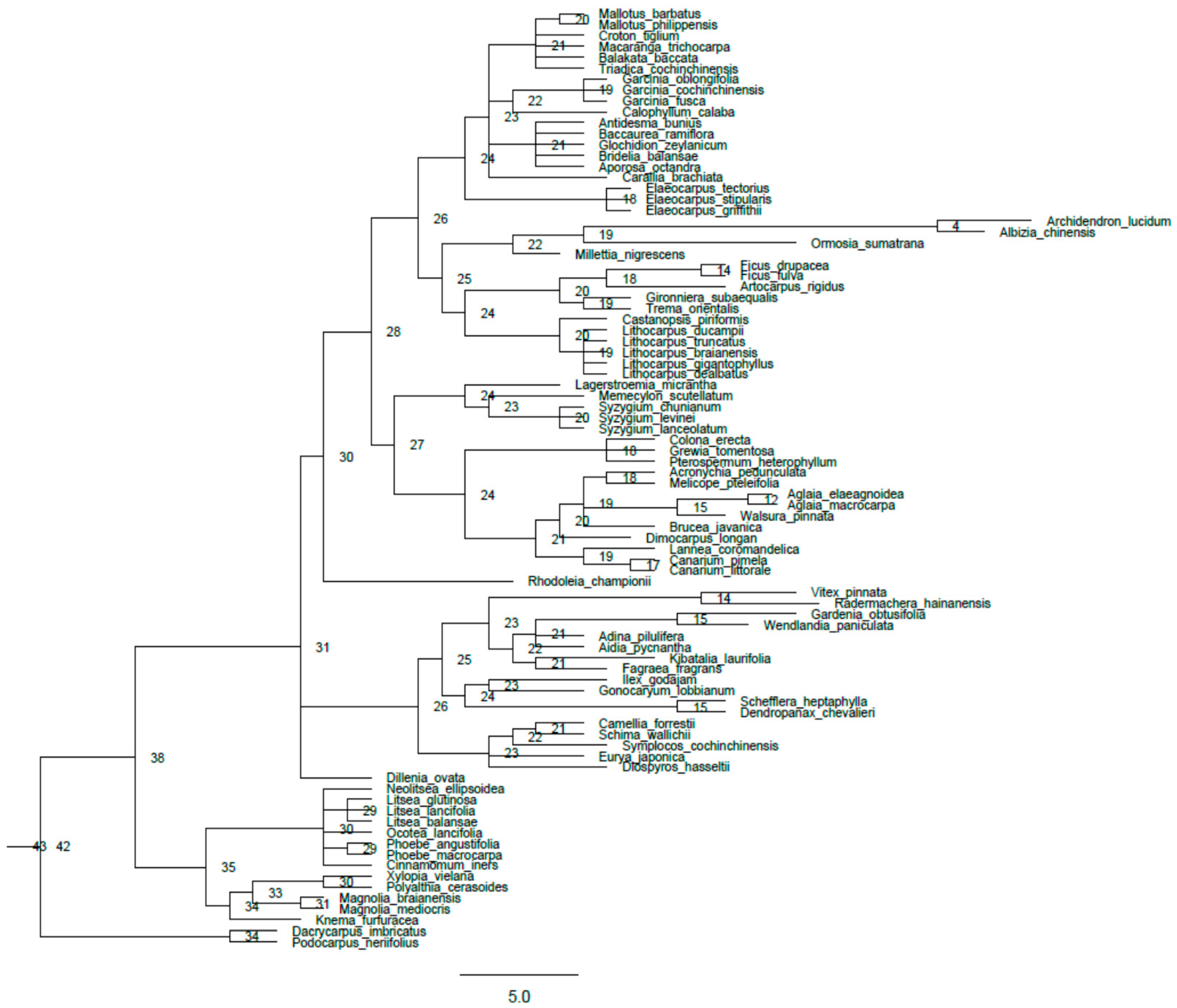 Forests 11 01358 g0a1