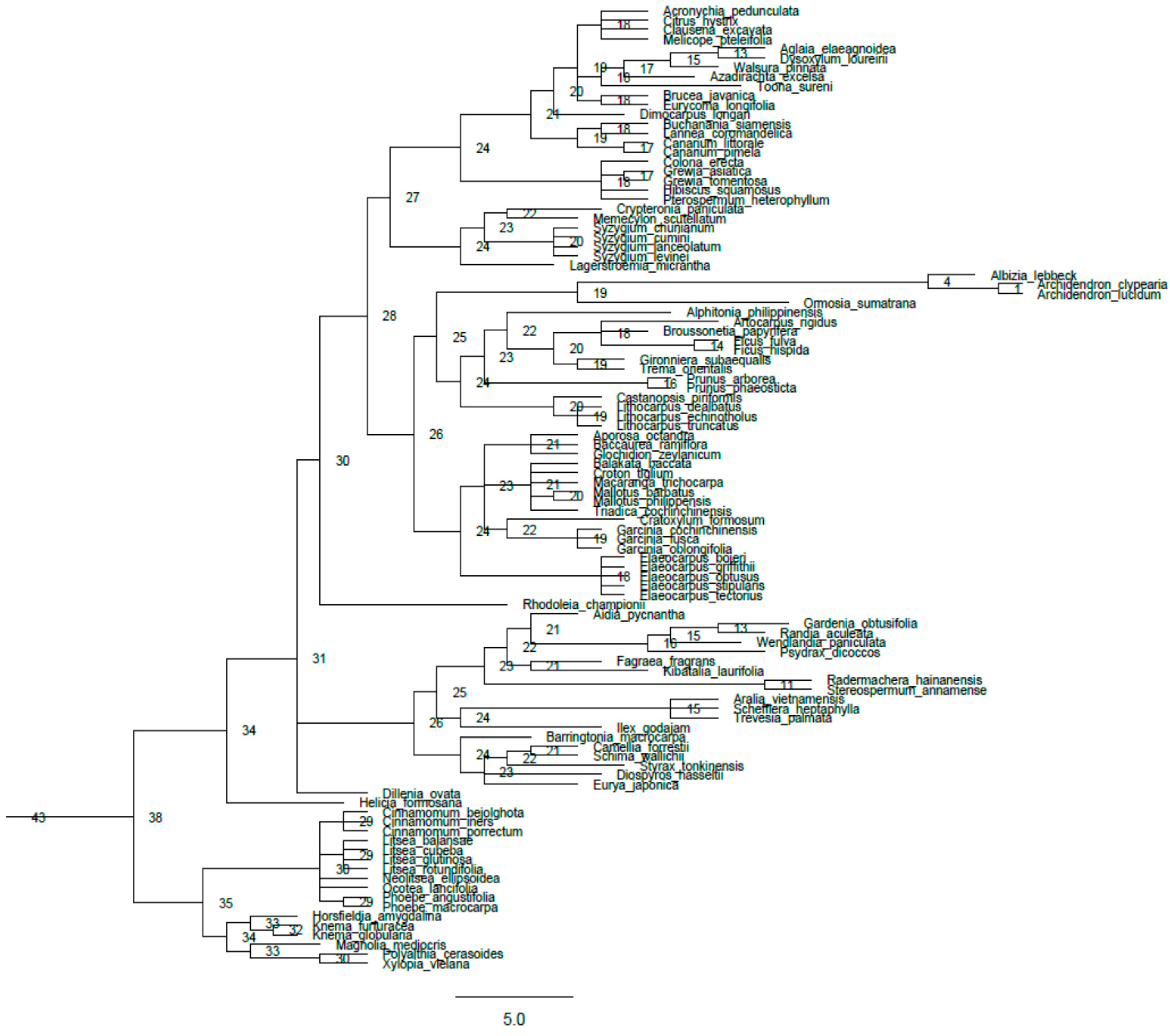 Forests 11 01358 g0a2