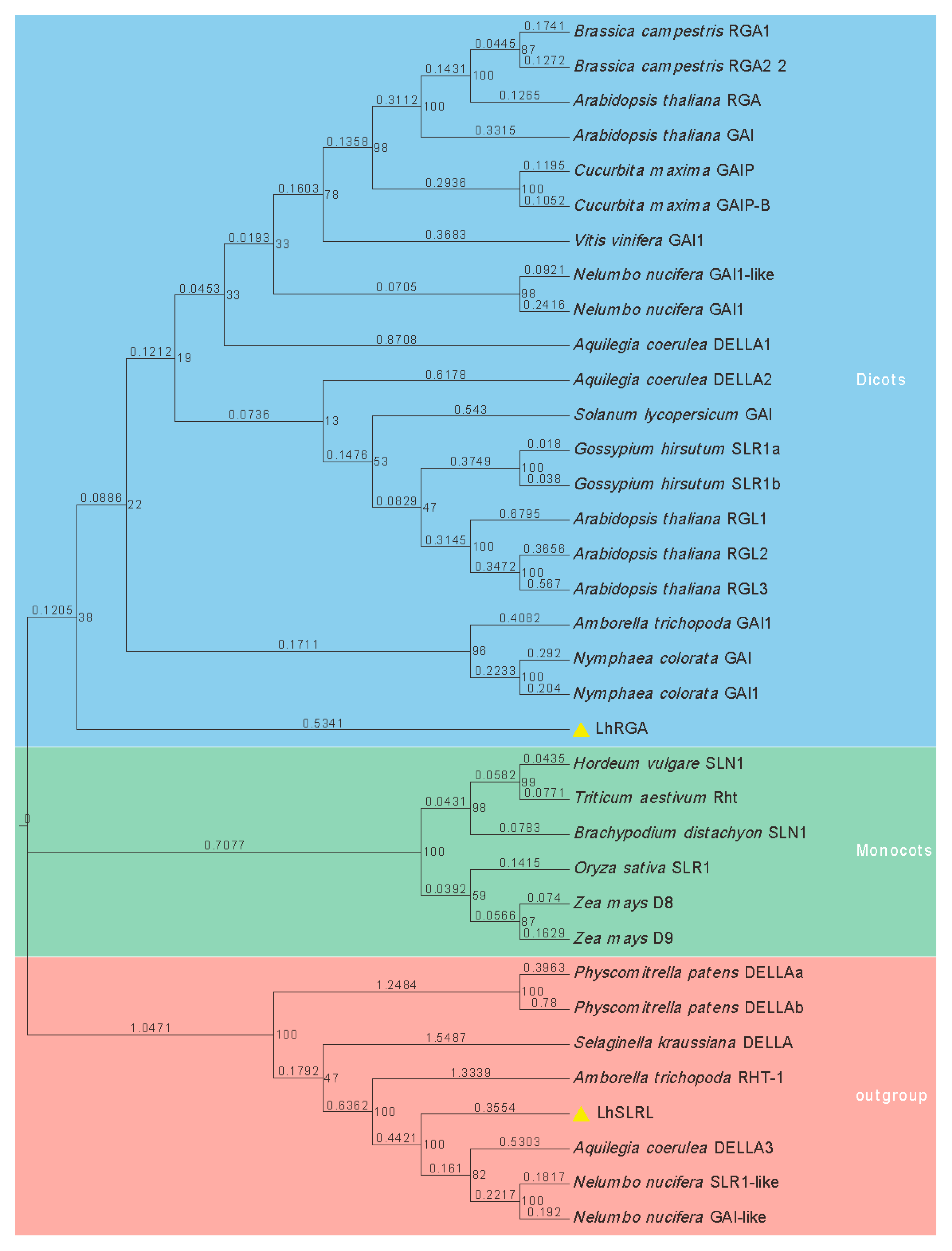 Forests 11 01363 g001 Forests 11 01363 g001