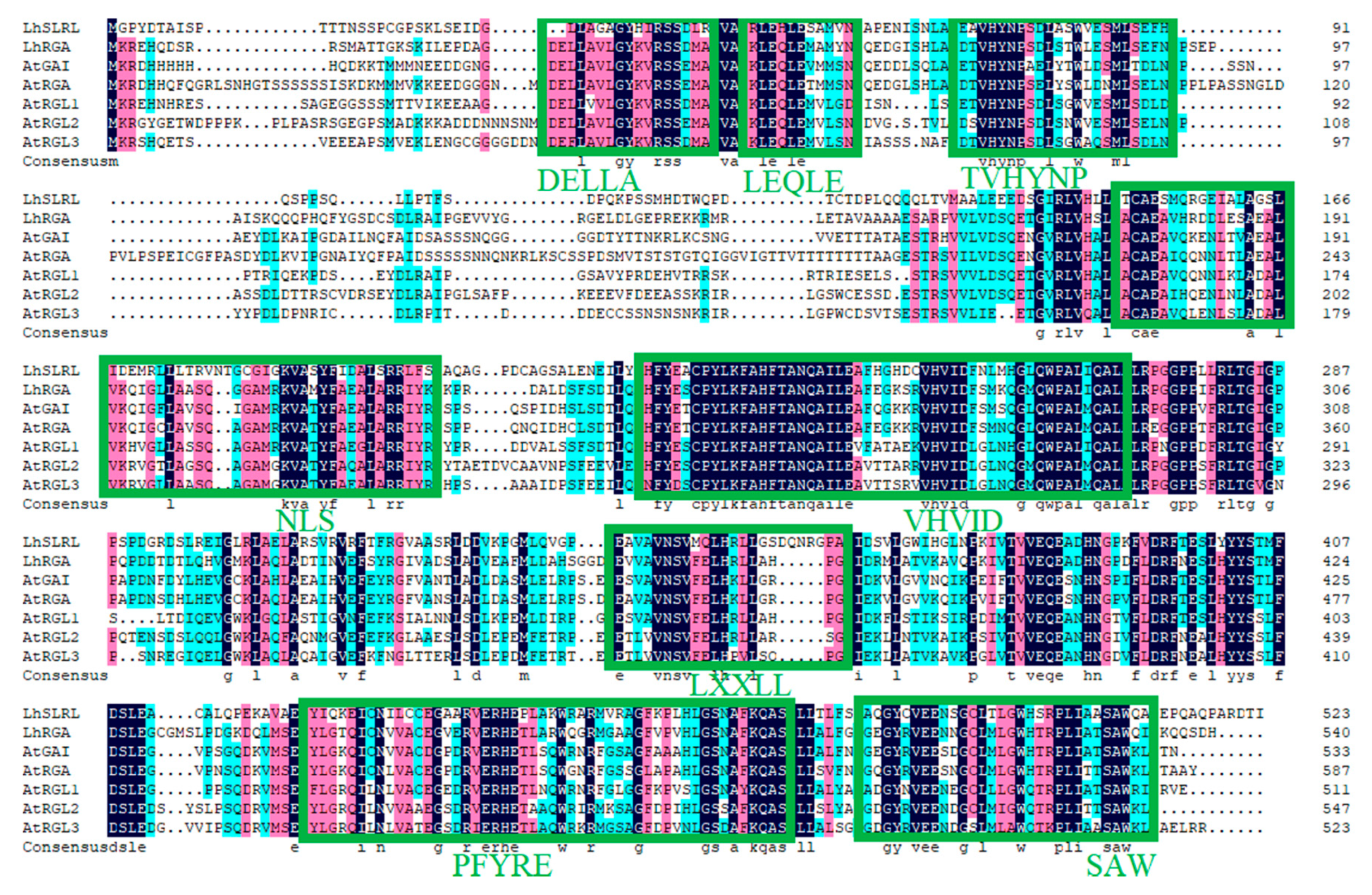 Forests 11 01363 g002 Forests 11 01363 g002