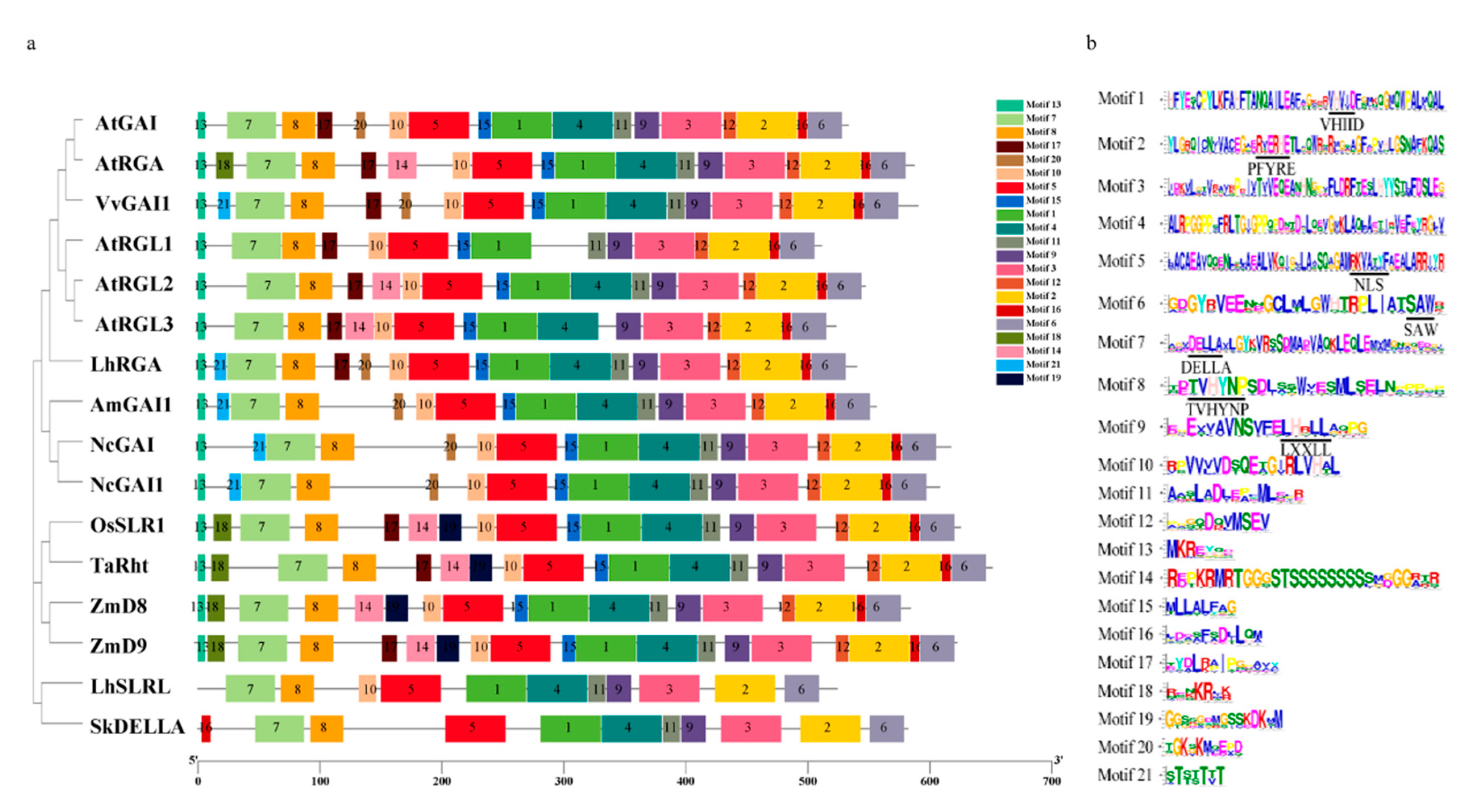 Forests 11 01363 g003 Forests 11 01363 g003