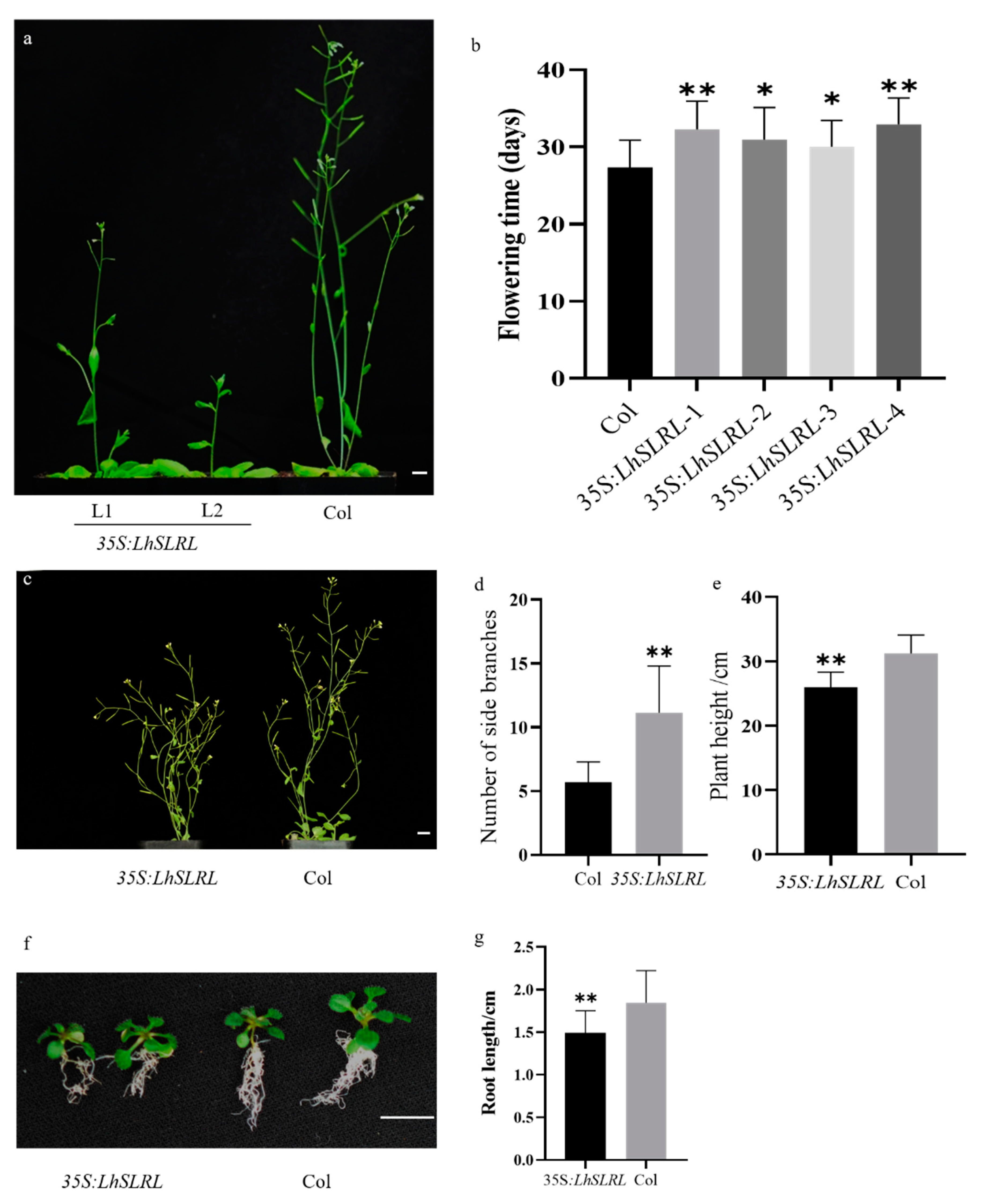 Forests 11 01363 g005 Forests 11 01363 g005
