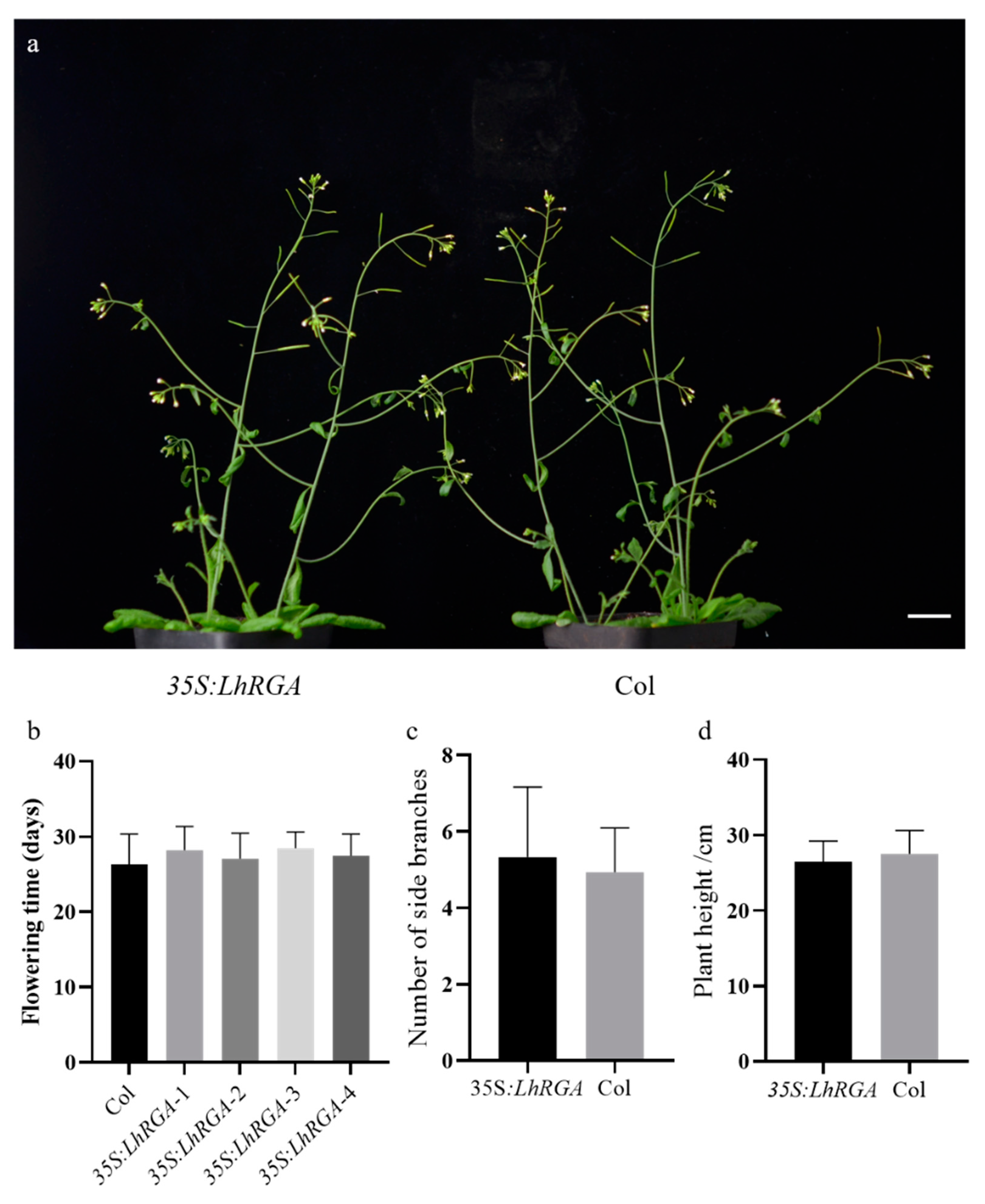 Forests 11 01363 g006 Forests 11 01363 g006