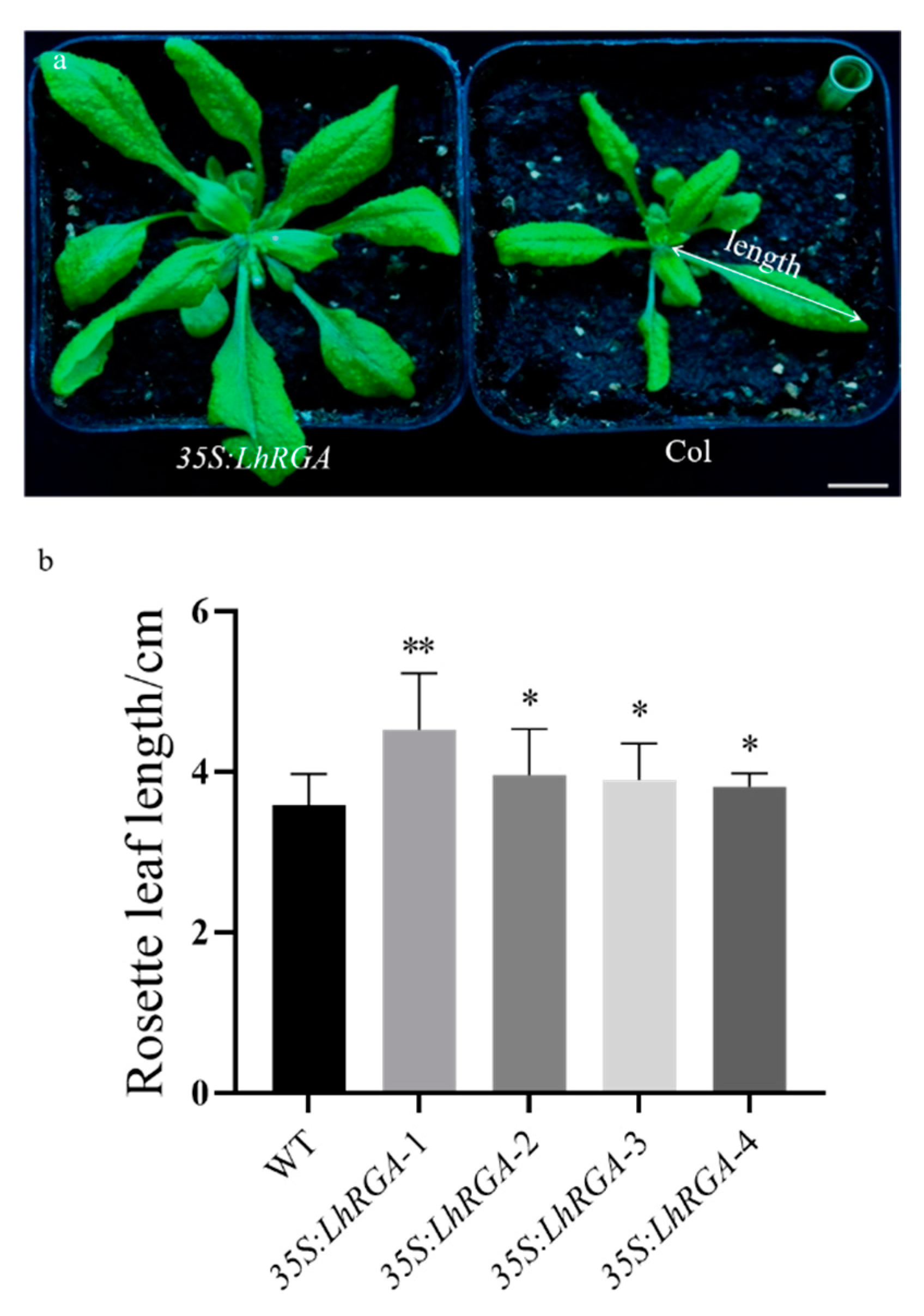 Forests 11 01363 g007 Forests 11 01363 g007