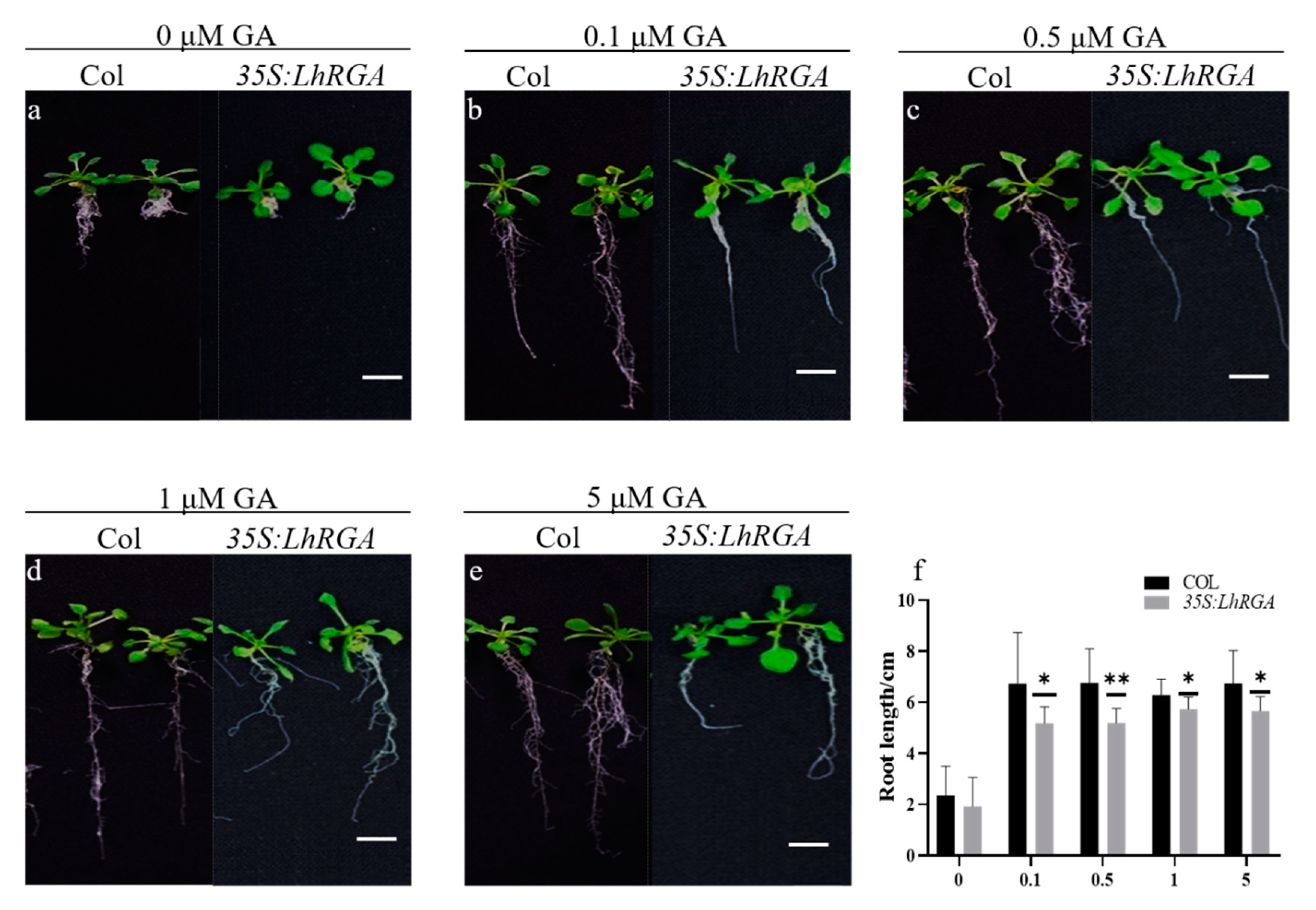 Forests 11 01363 g008 Forests 11 01363 g008