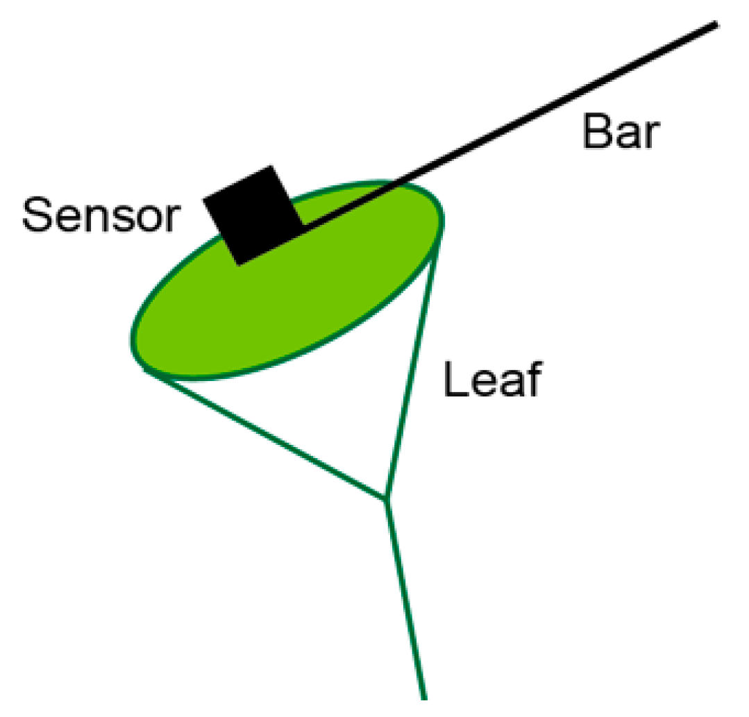 Forests 11 01365 g004 Forests 11 01365 g004