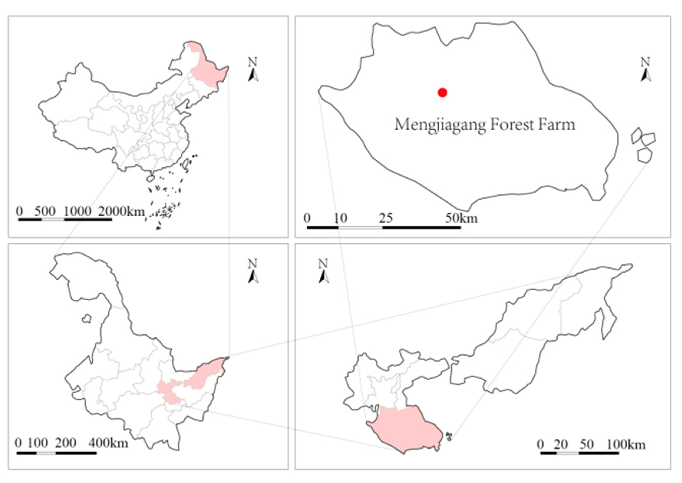 Forests 11 01366 g003