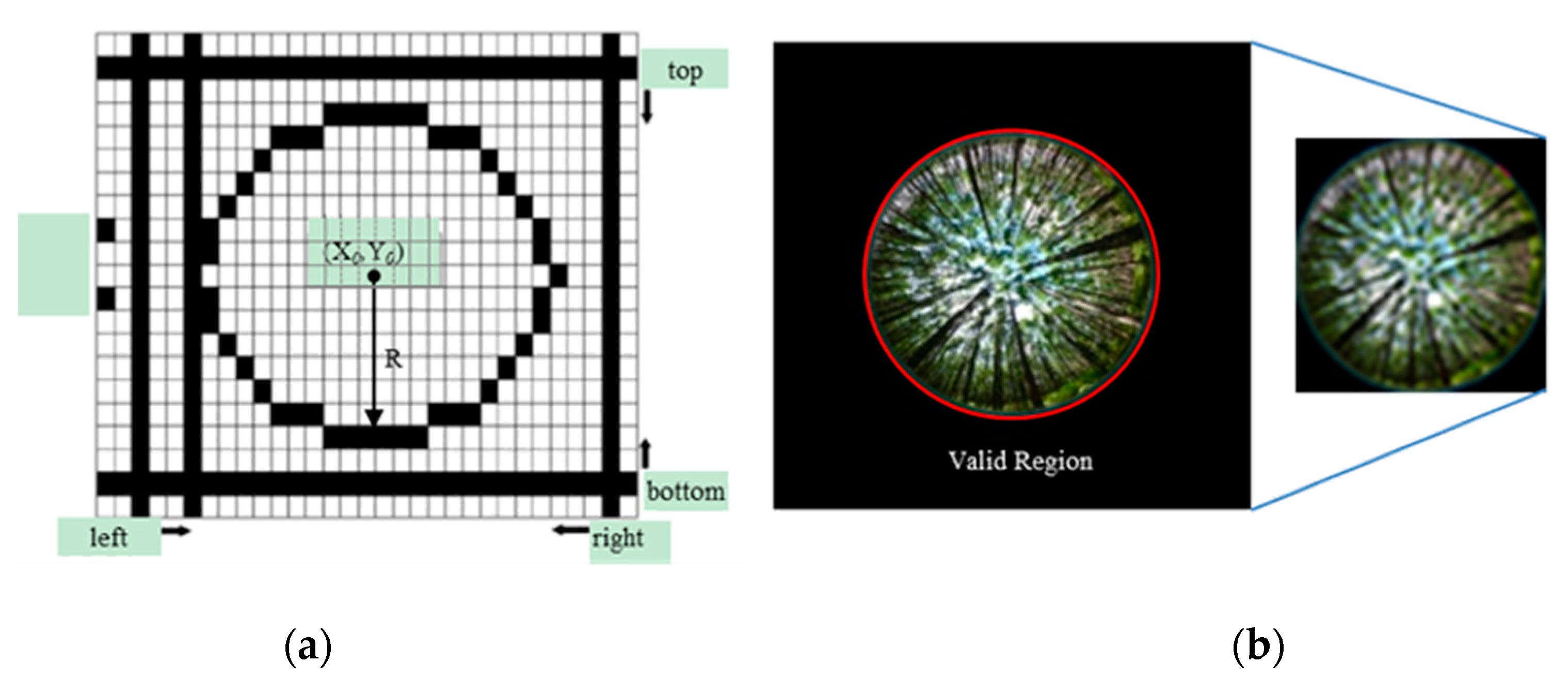 Forests 11 01366 g004
