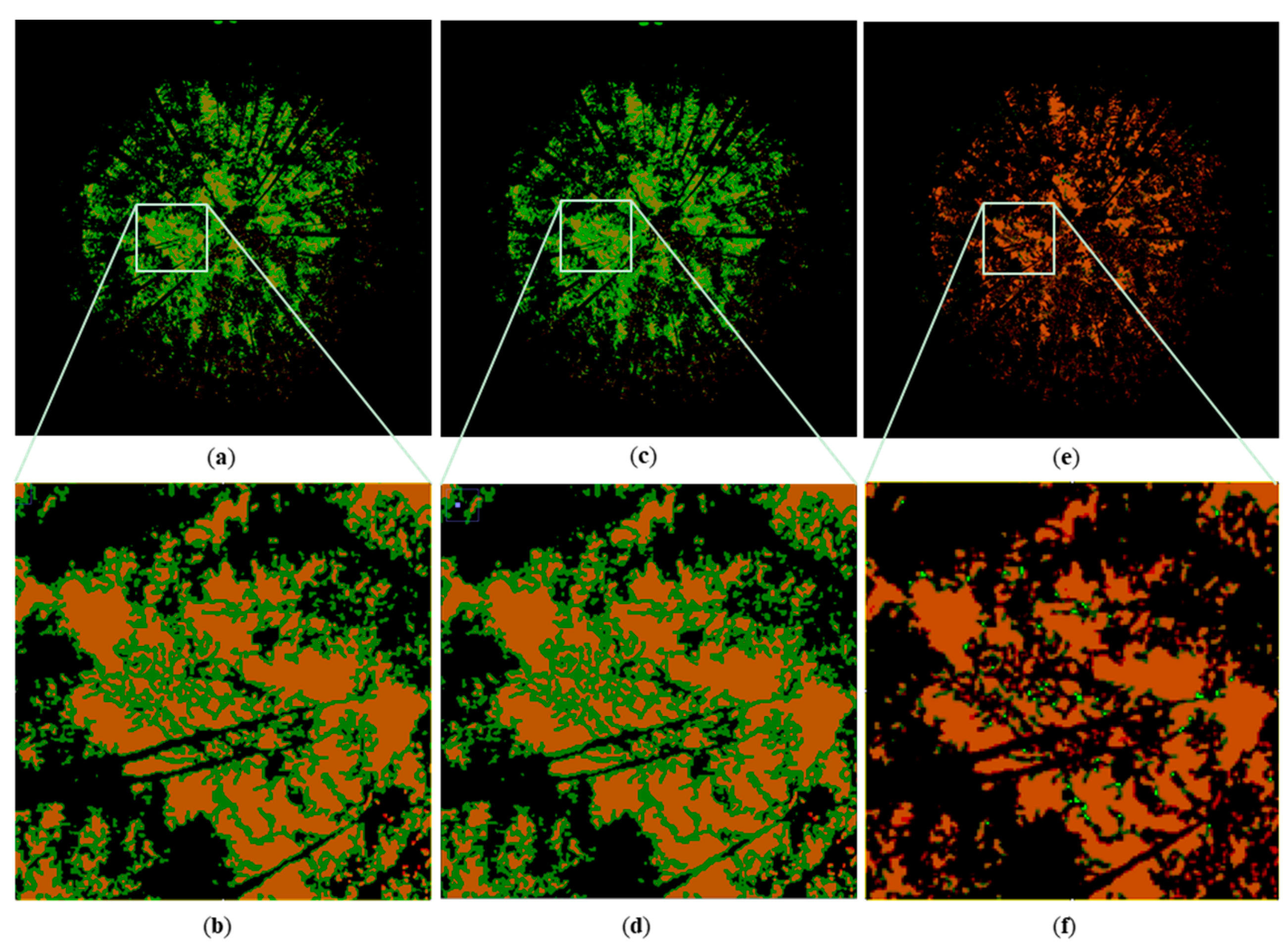 Forests 11 01366 g008