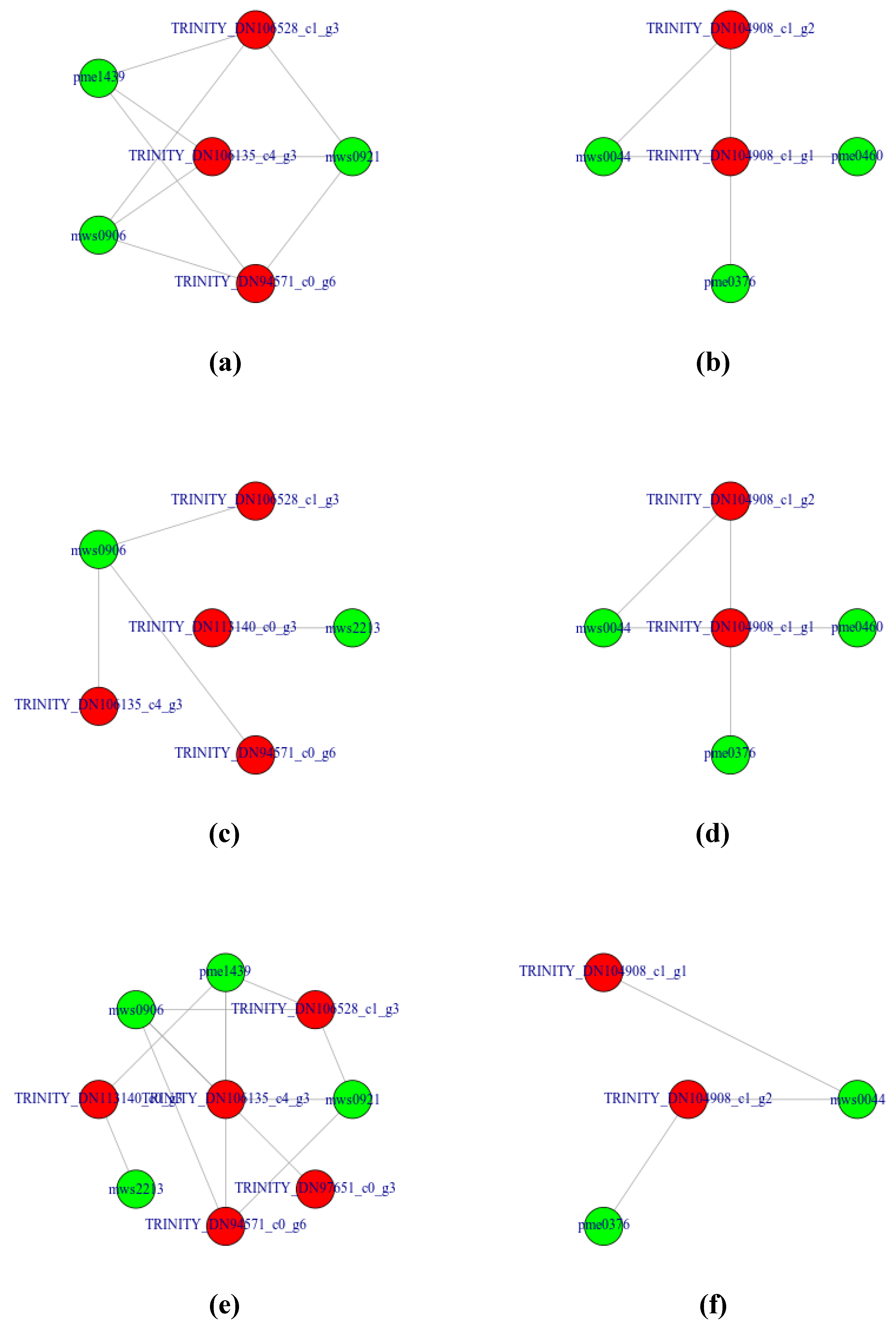 Forests 11 01367 g007 Forests 11 01367 g007