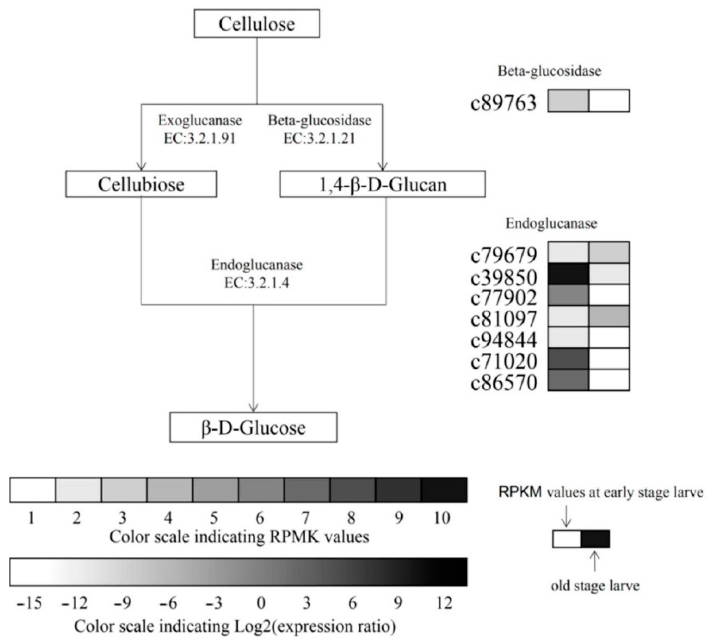 Forests 11 01372 g001 Forests 11 01372 g001