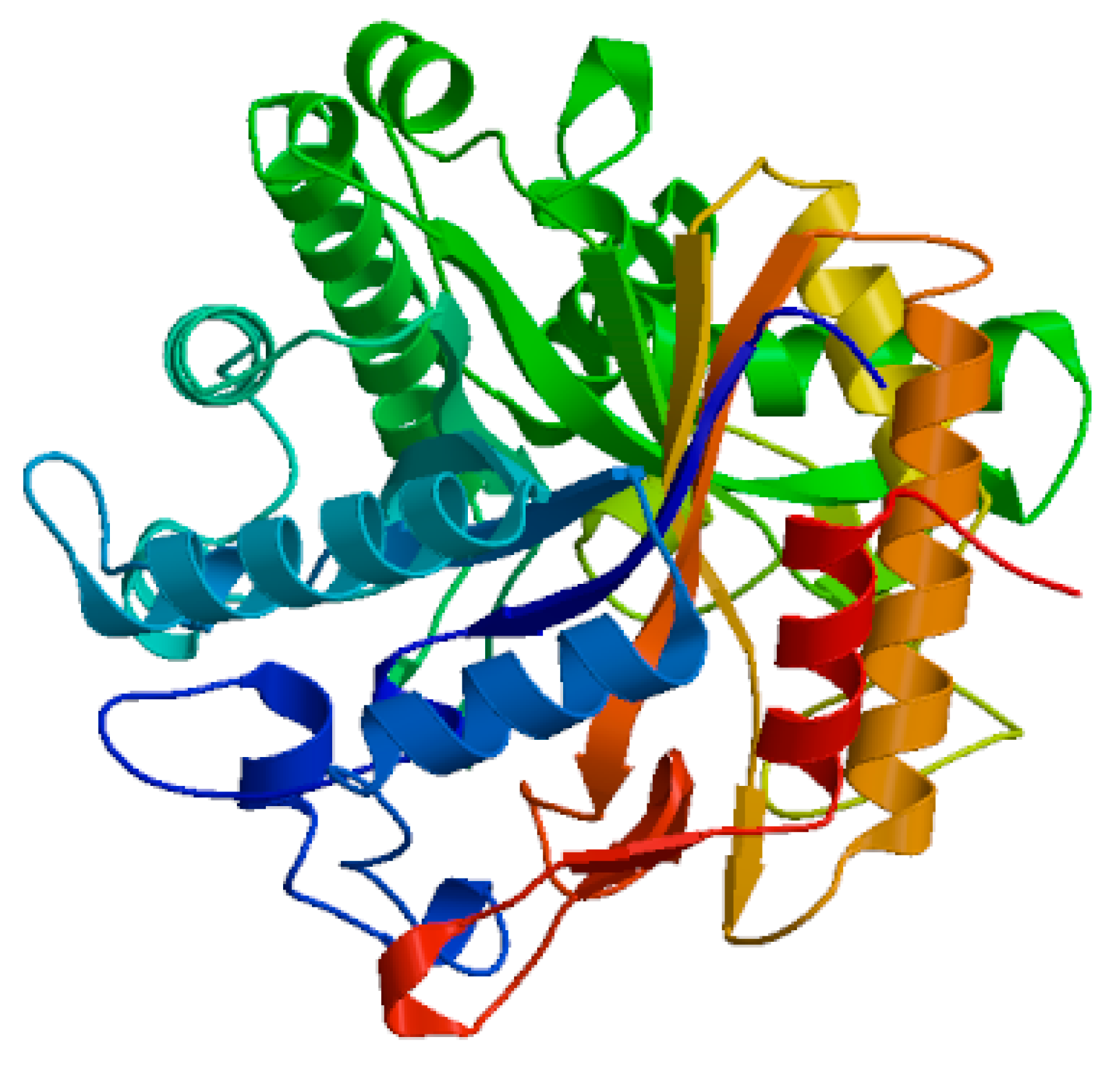 Forests 11 01372 g002 Forests 11 01372 g002