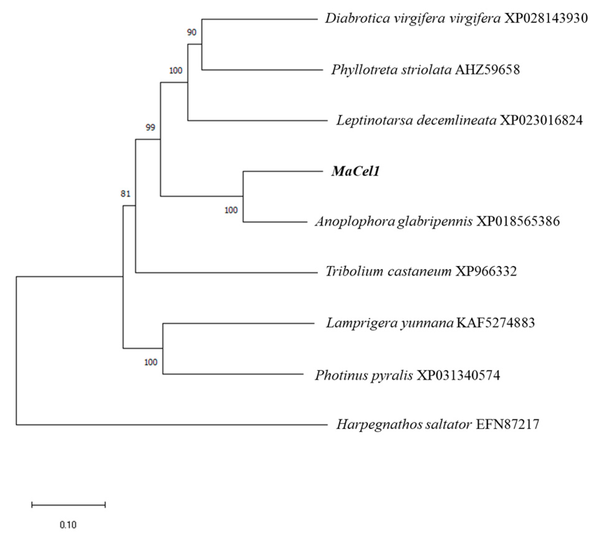 Forests 11 01372 g004 Forests 11 01372 g004