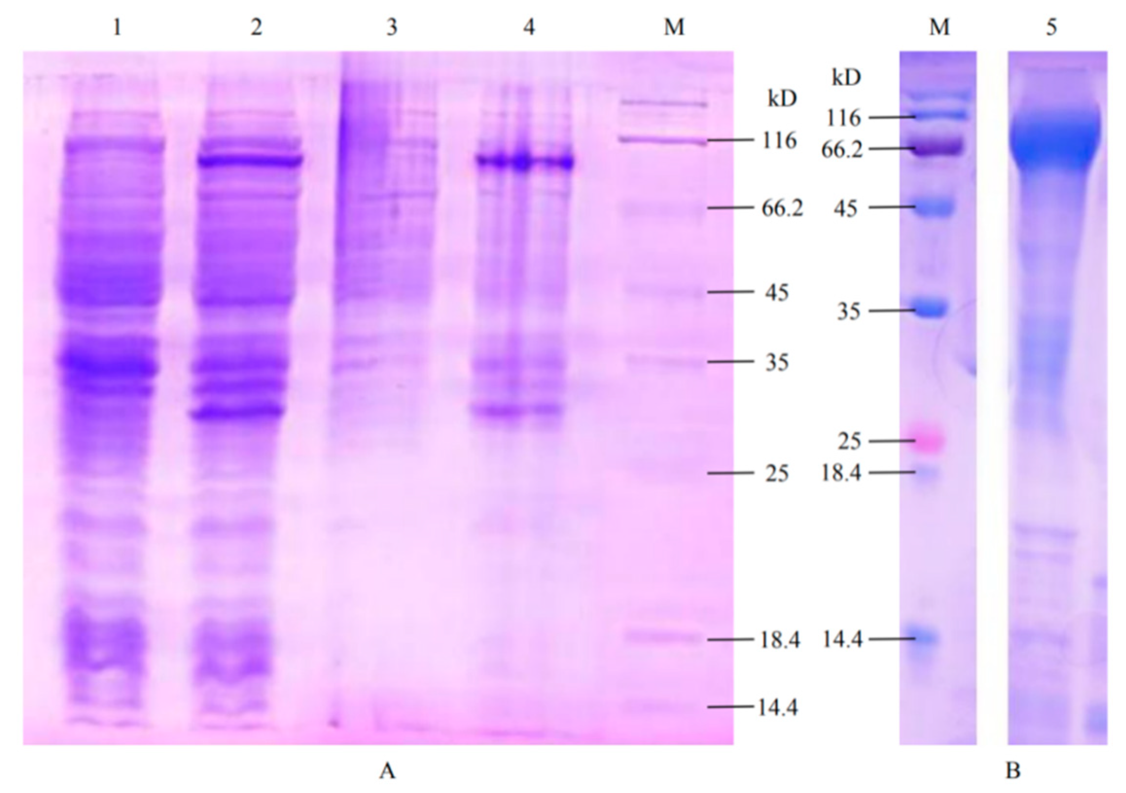 Forests 11 01372 g005 Forests 11 01372 g005