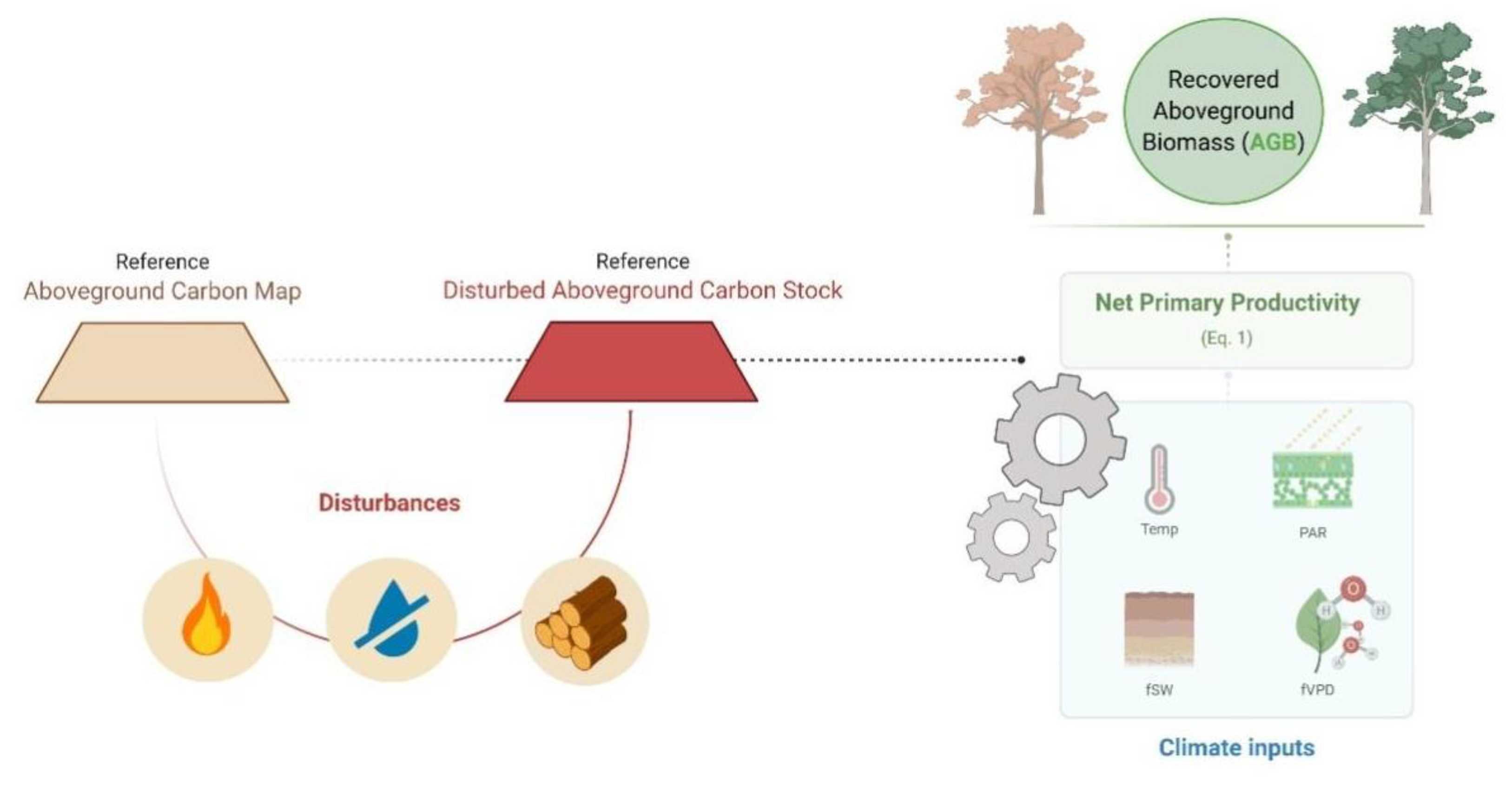 Forests 12 00008 g001 Forests 12 00008 g001