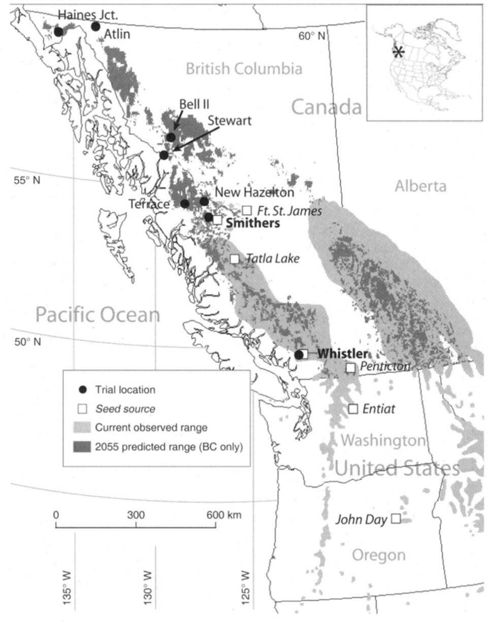 Forests 12 00009 g001 Forests 12 00009 g001