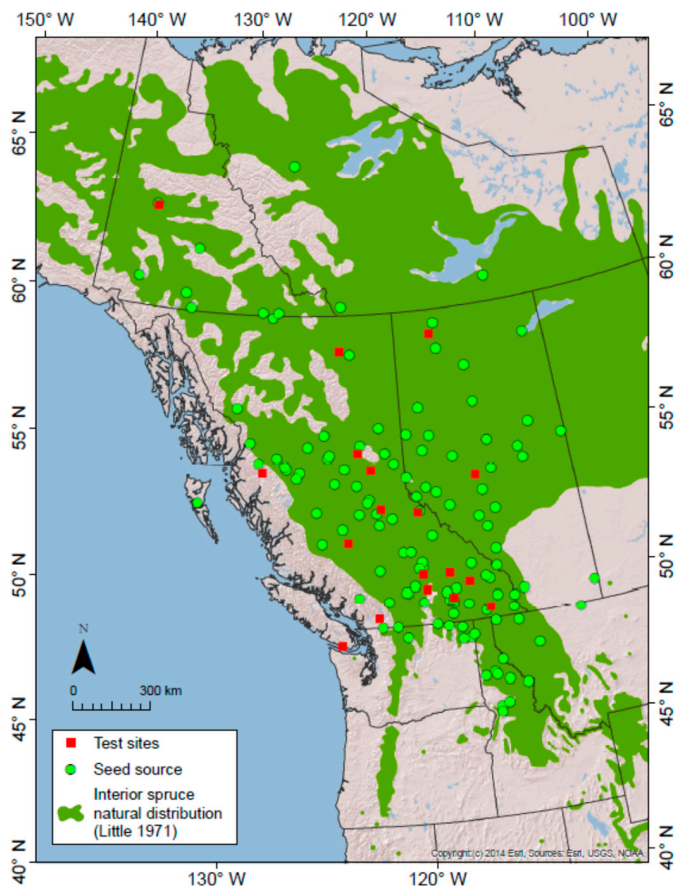 Forests 12 00009 g002 Forests 12 00009 g002