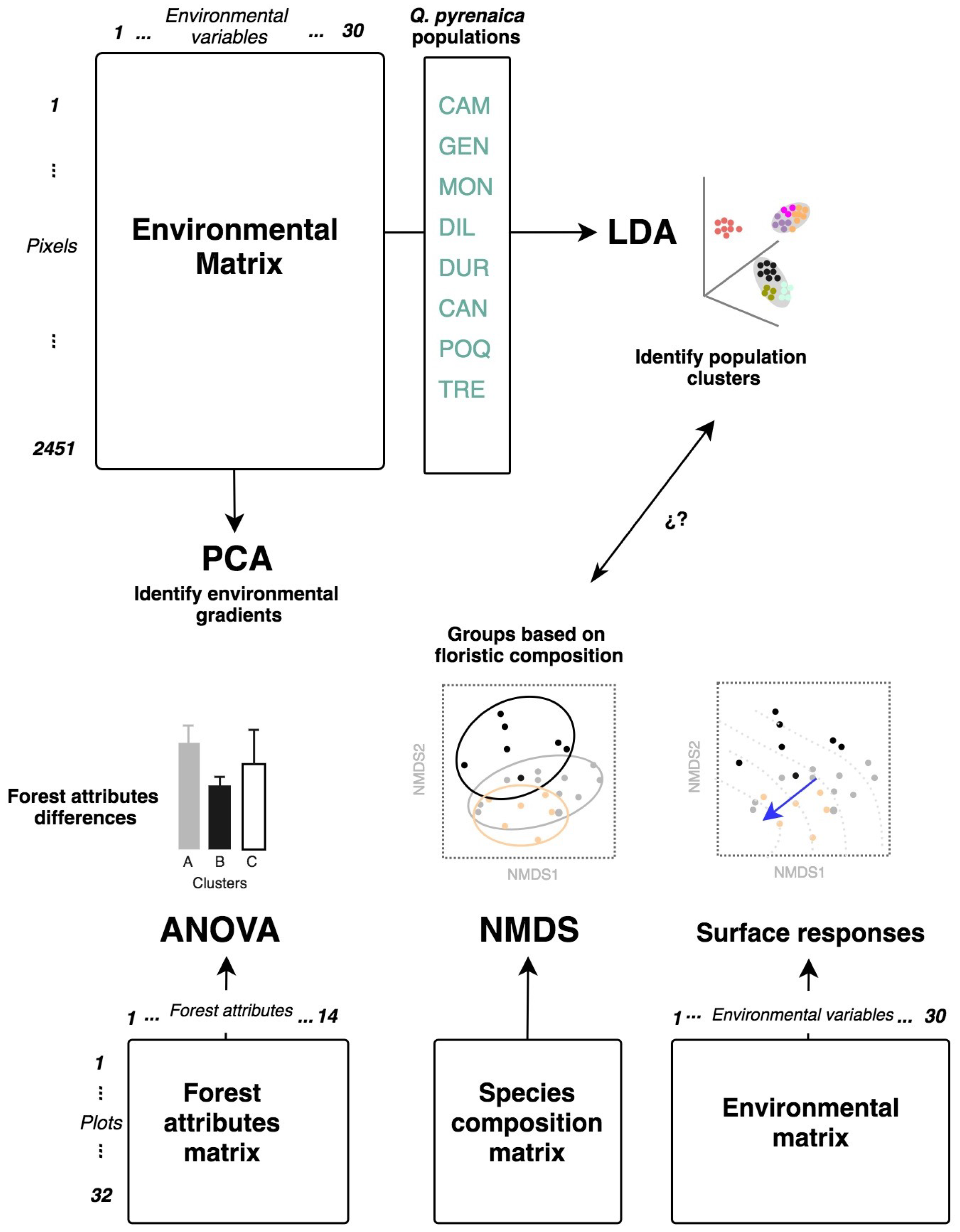 Forests 12 00010 g002 Forests 12 00010 g002