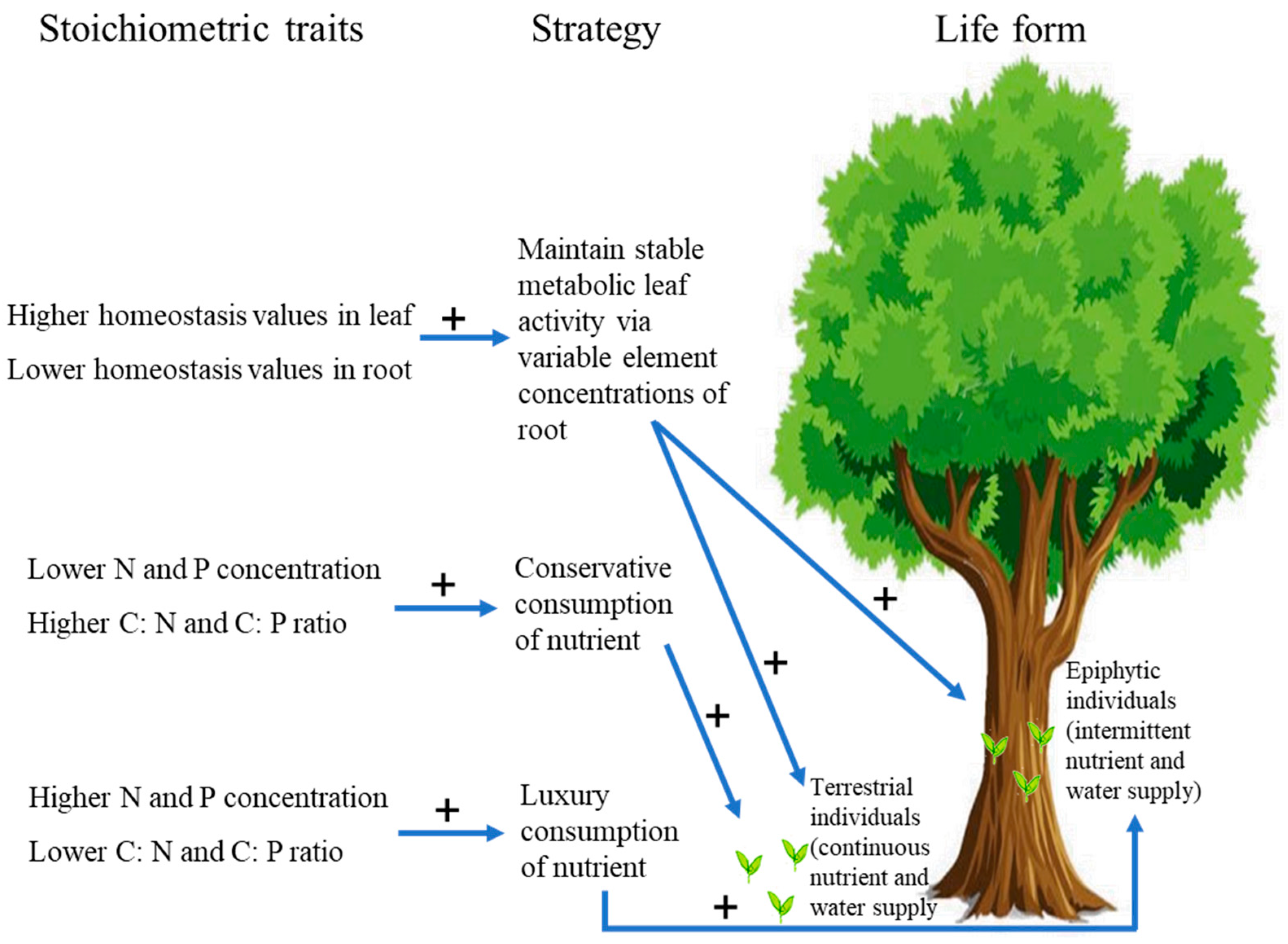 Forests 12 00016 g005 Forests 12 00016 g005