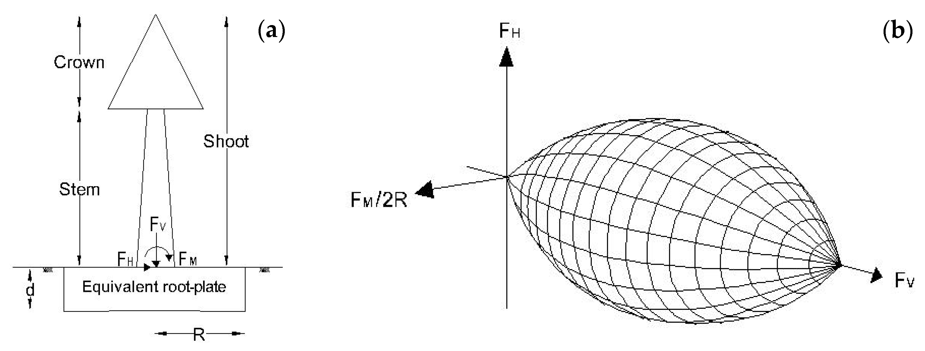 Forests 12 00017 g002