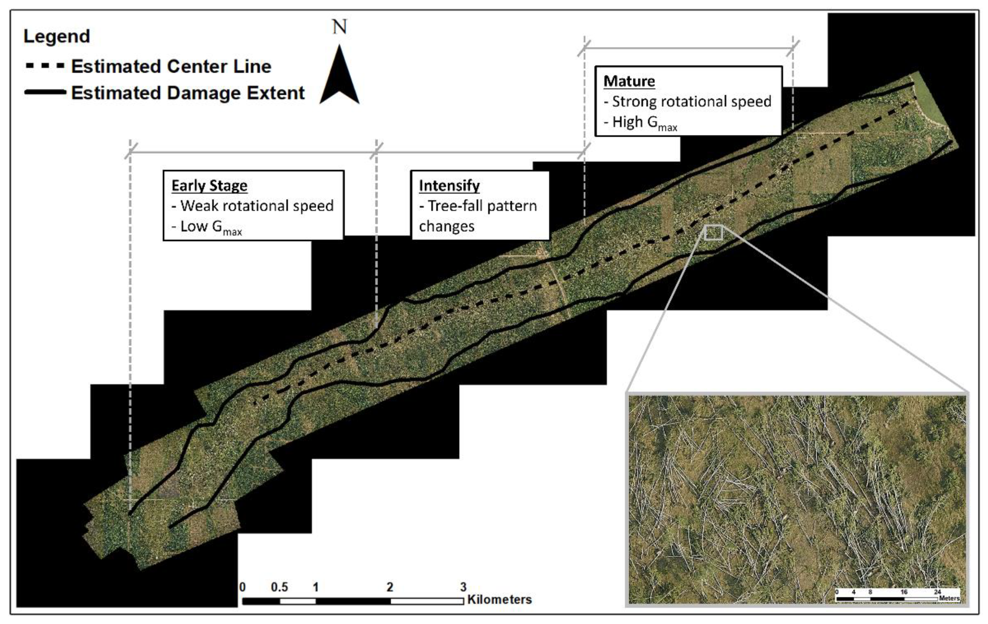 Forests 12 00017 g003