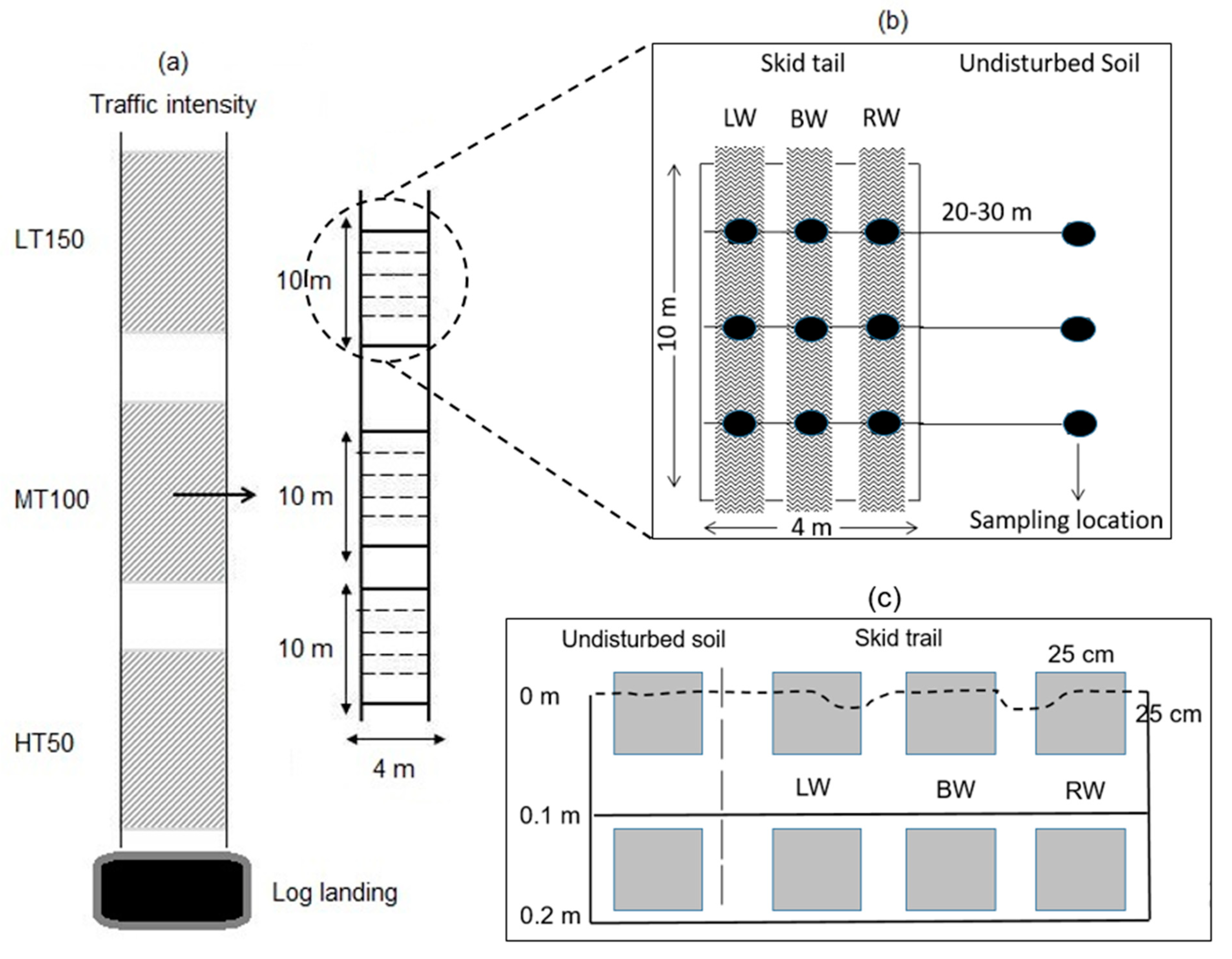 Forests 12 00018 g002