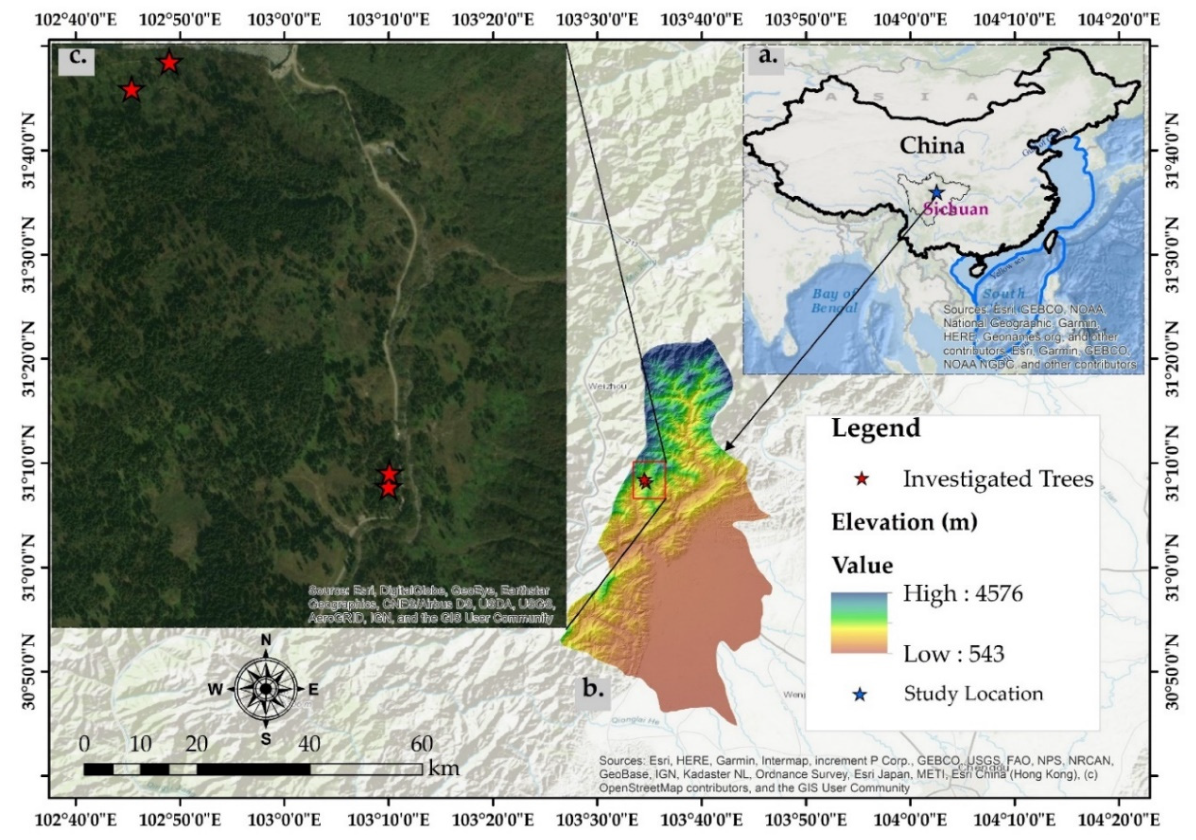 Forests 12 00033 g001 Forests 12 00033 g001