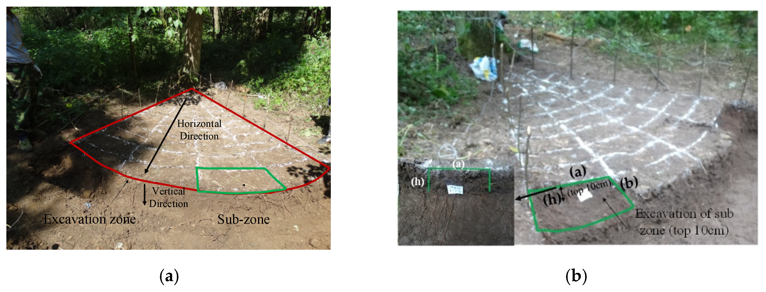 Forests 12 00033 g003 Forests 12 00033 g003