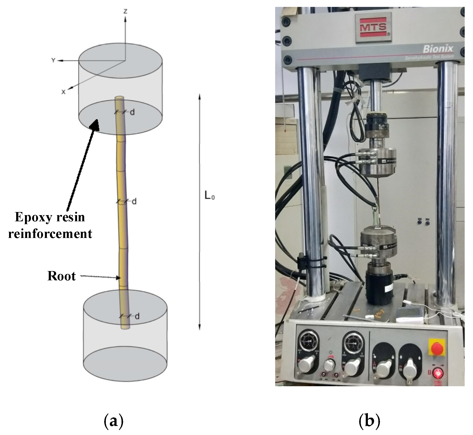Forests 12 00033 g004 Forests 12 00033 g004