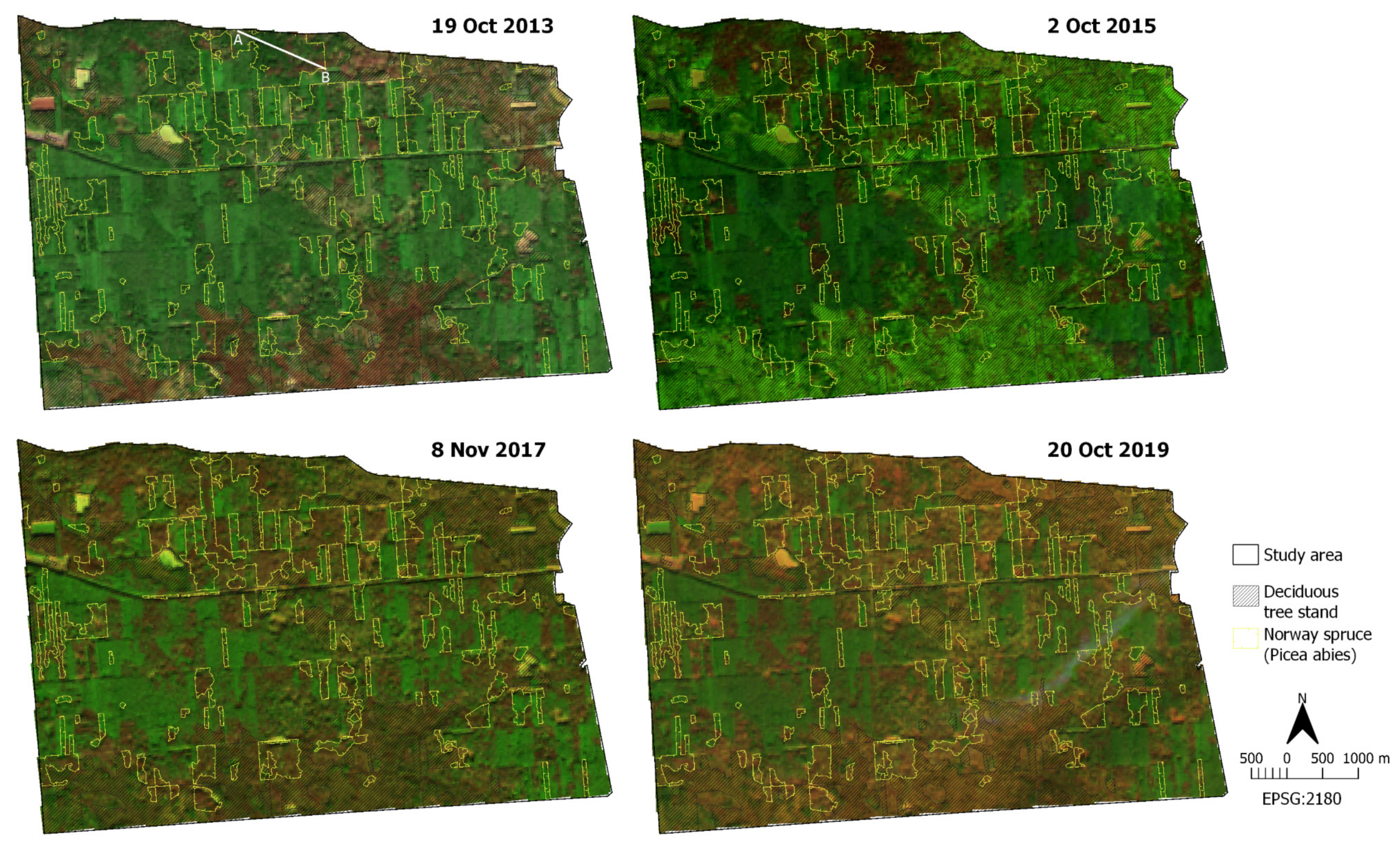 Forests 12 00034 g002 Forests 12 00034 g002