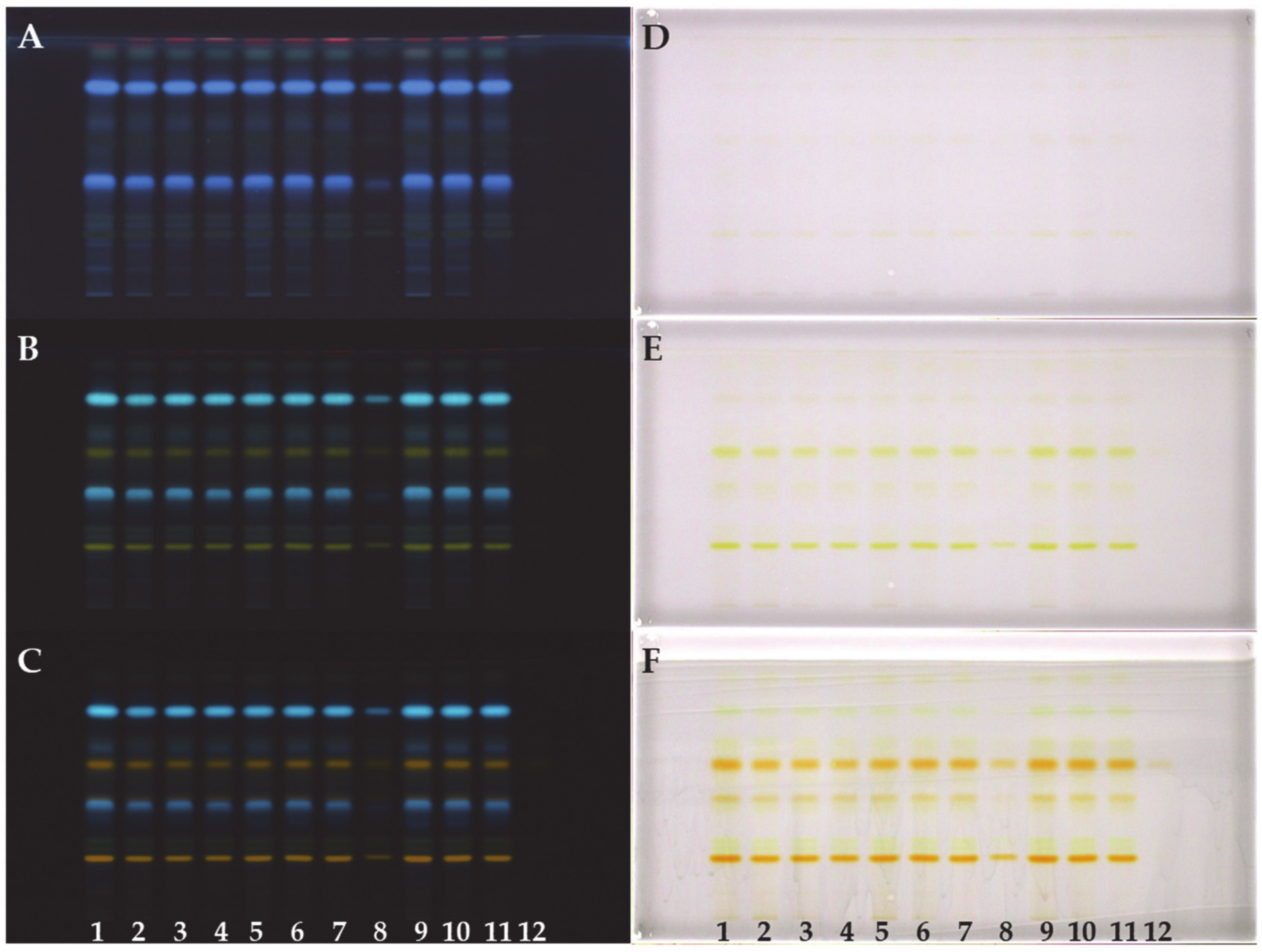 Forests 12 00040 g001