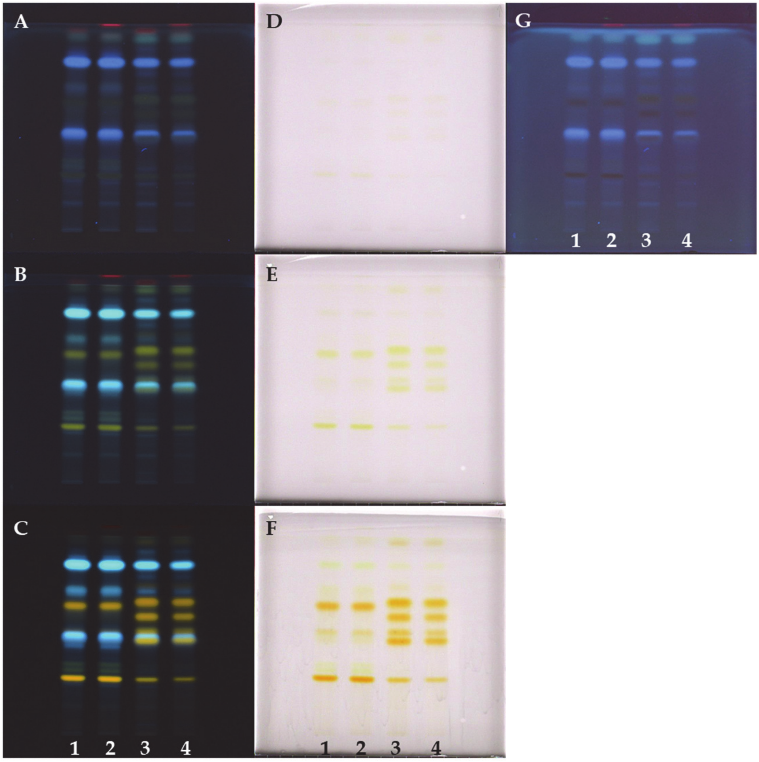 Forests 12 00040 g006