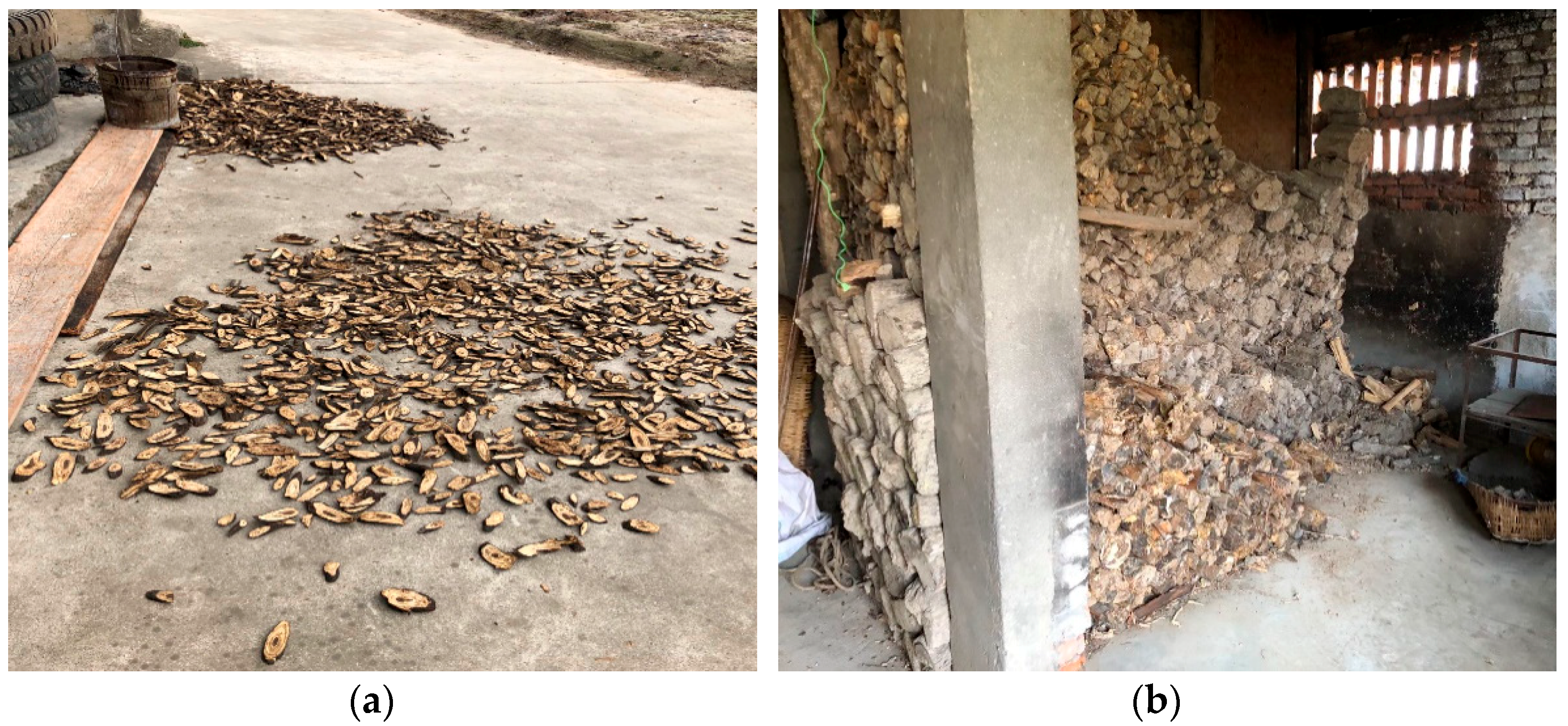 Forests 12 00046 g001