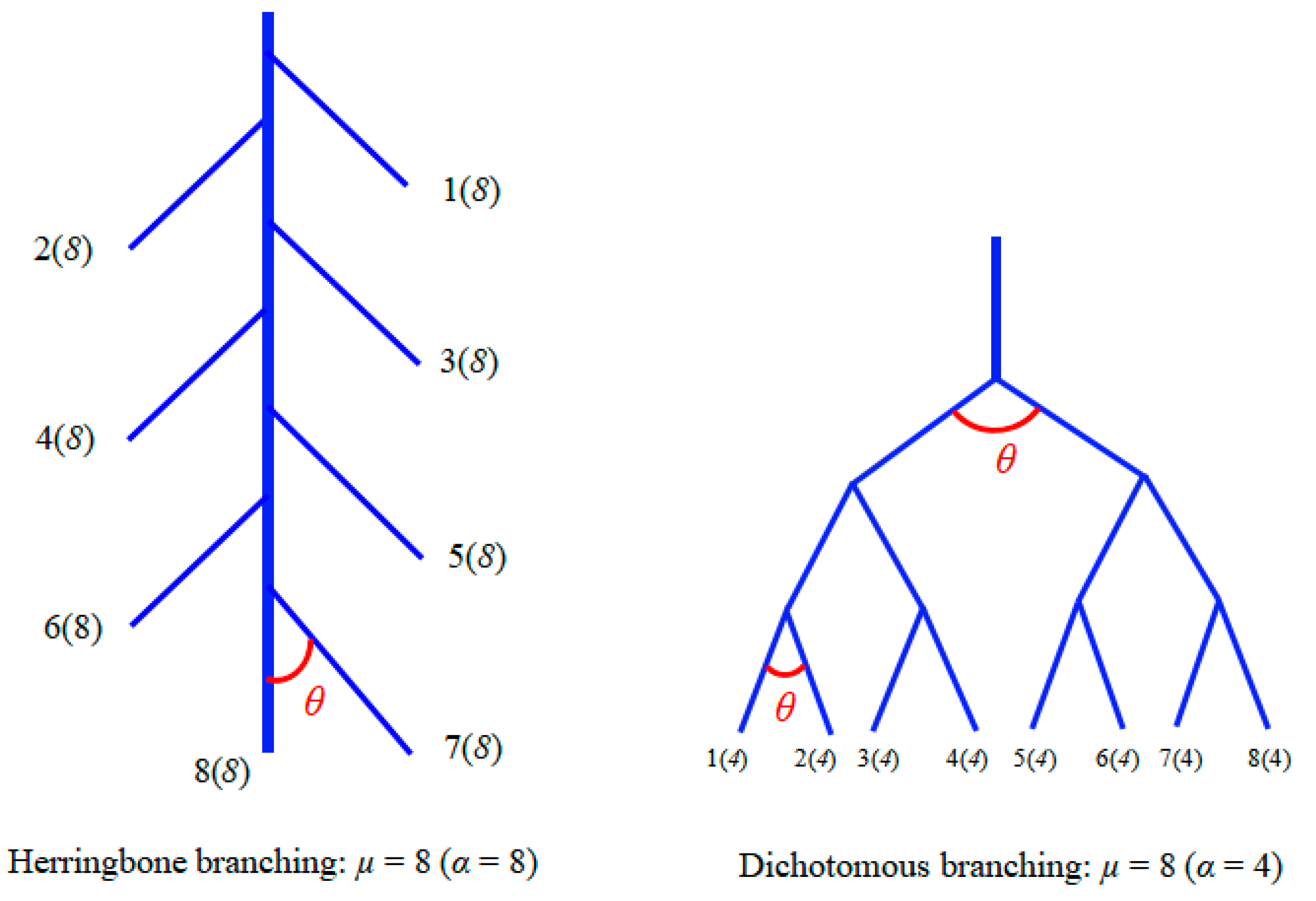 Forests 12 00050 g001 Forests 12 00050 g001