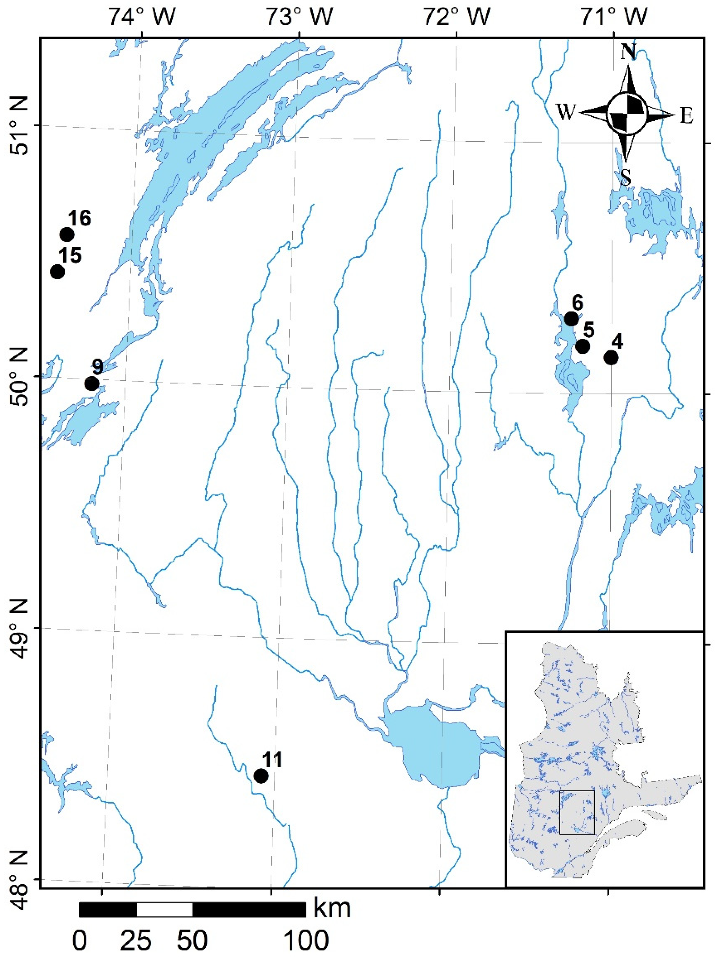 Forests 12 00059 g001